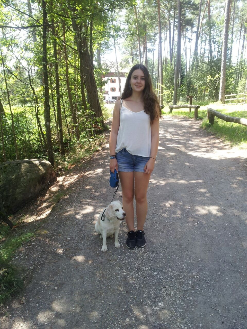 image-6