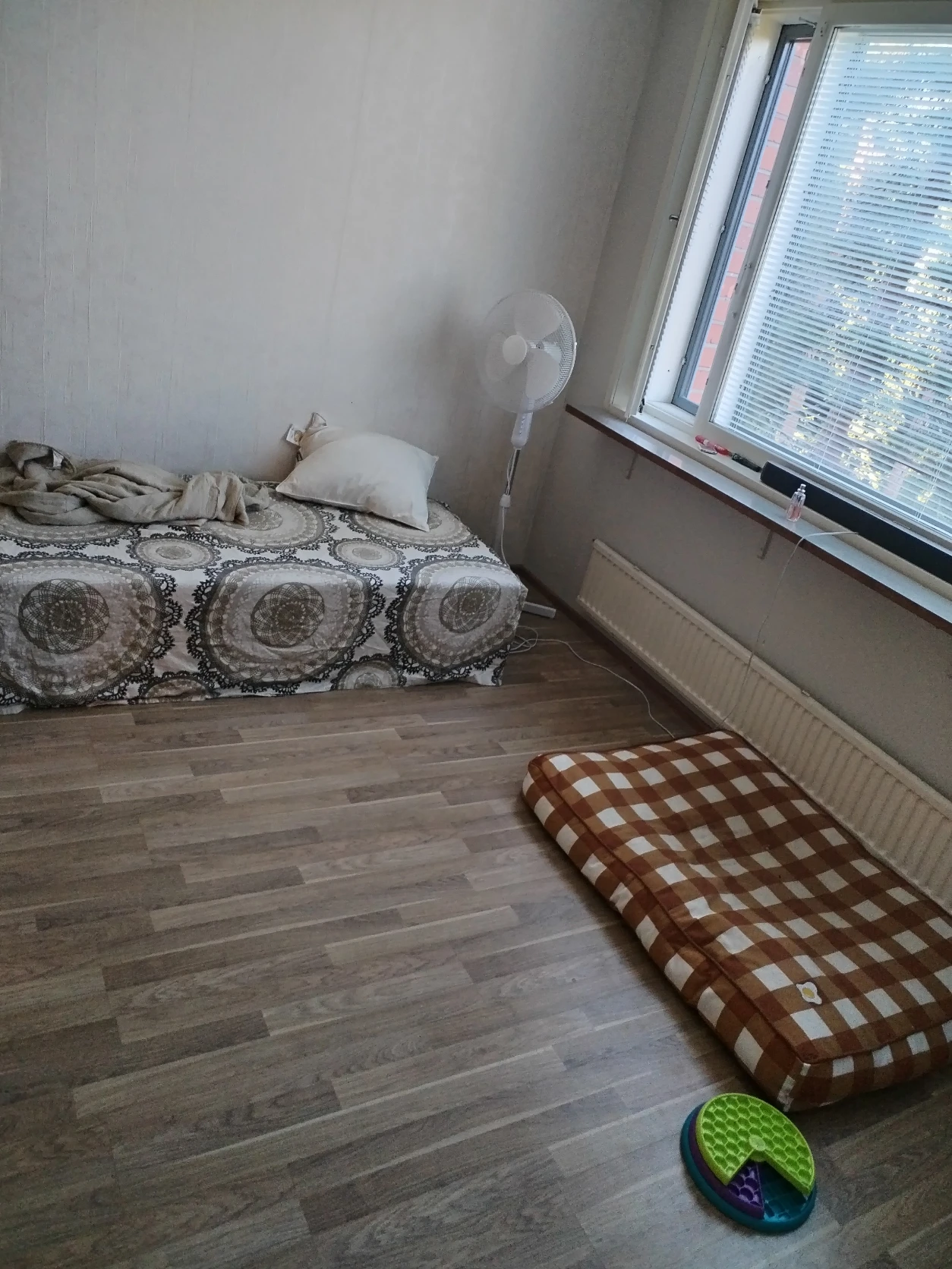 image-18