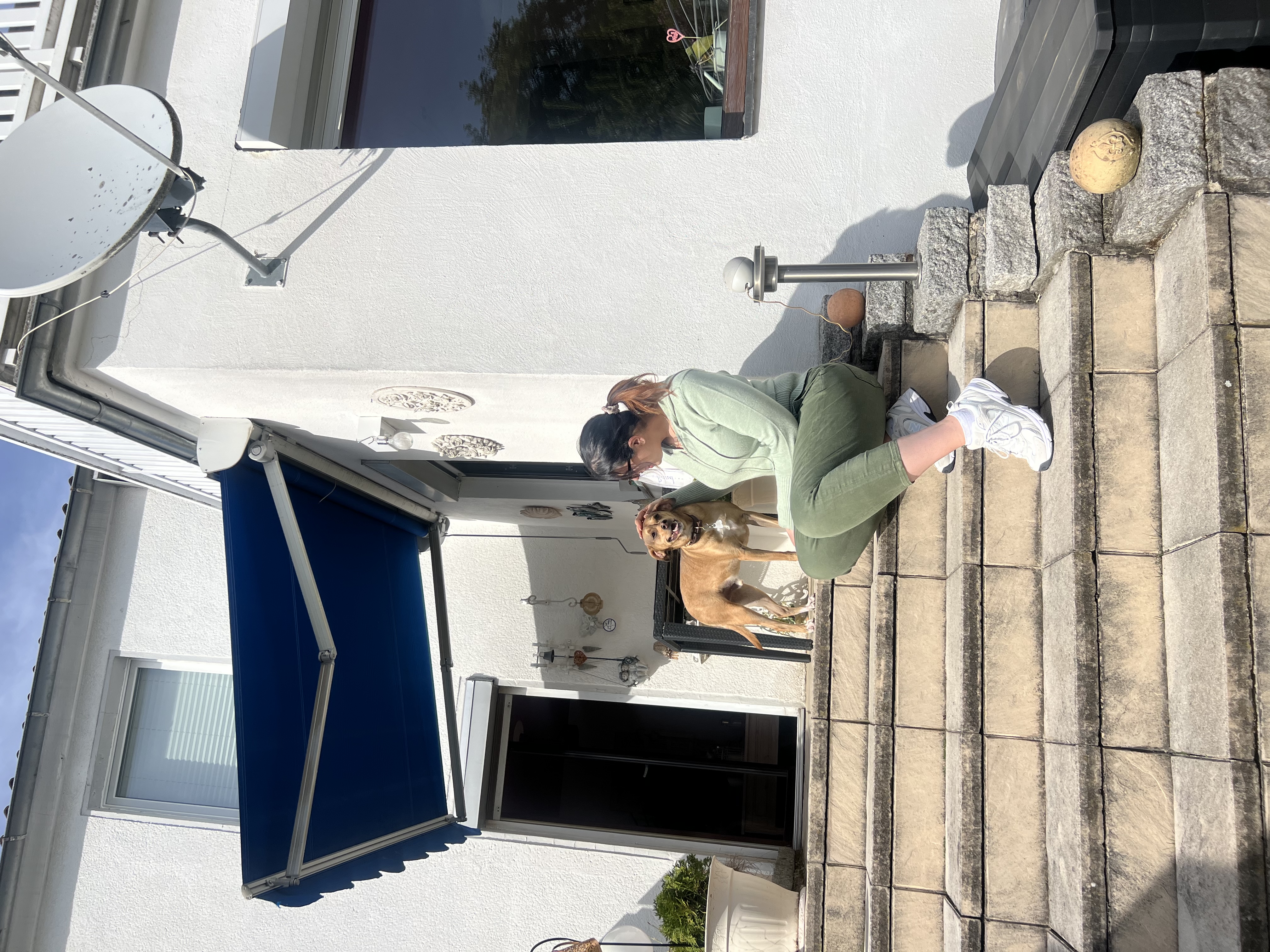 image-7