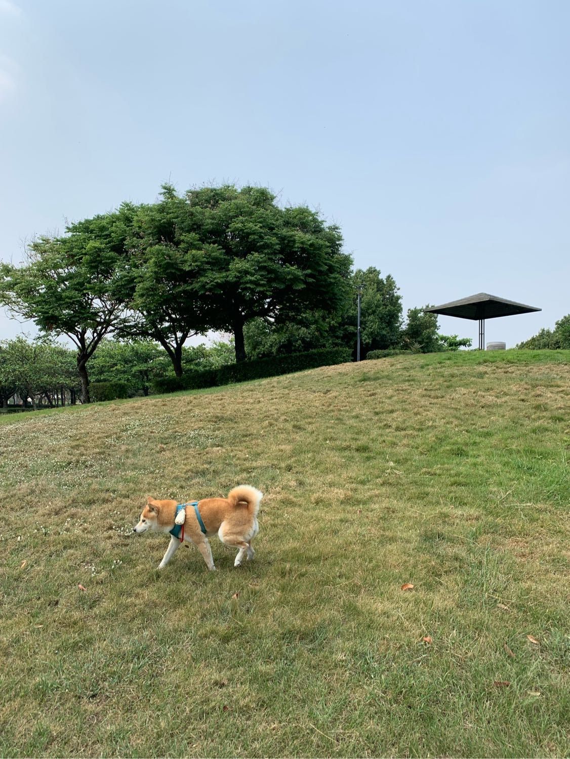 image-4
