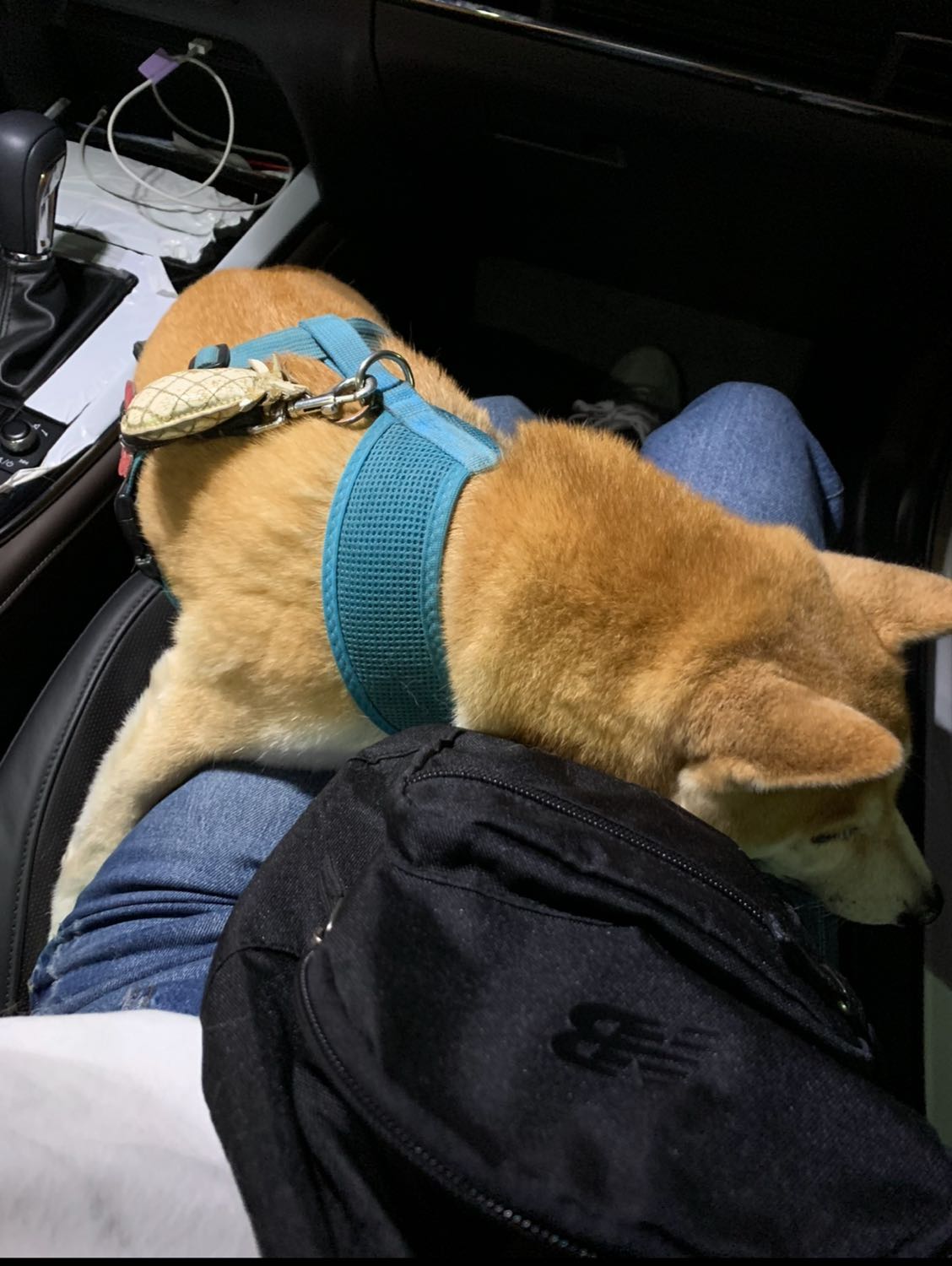 image-8