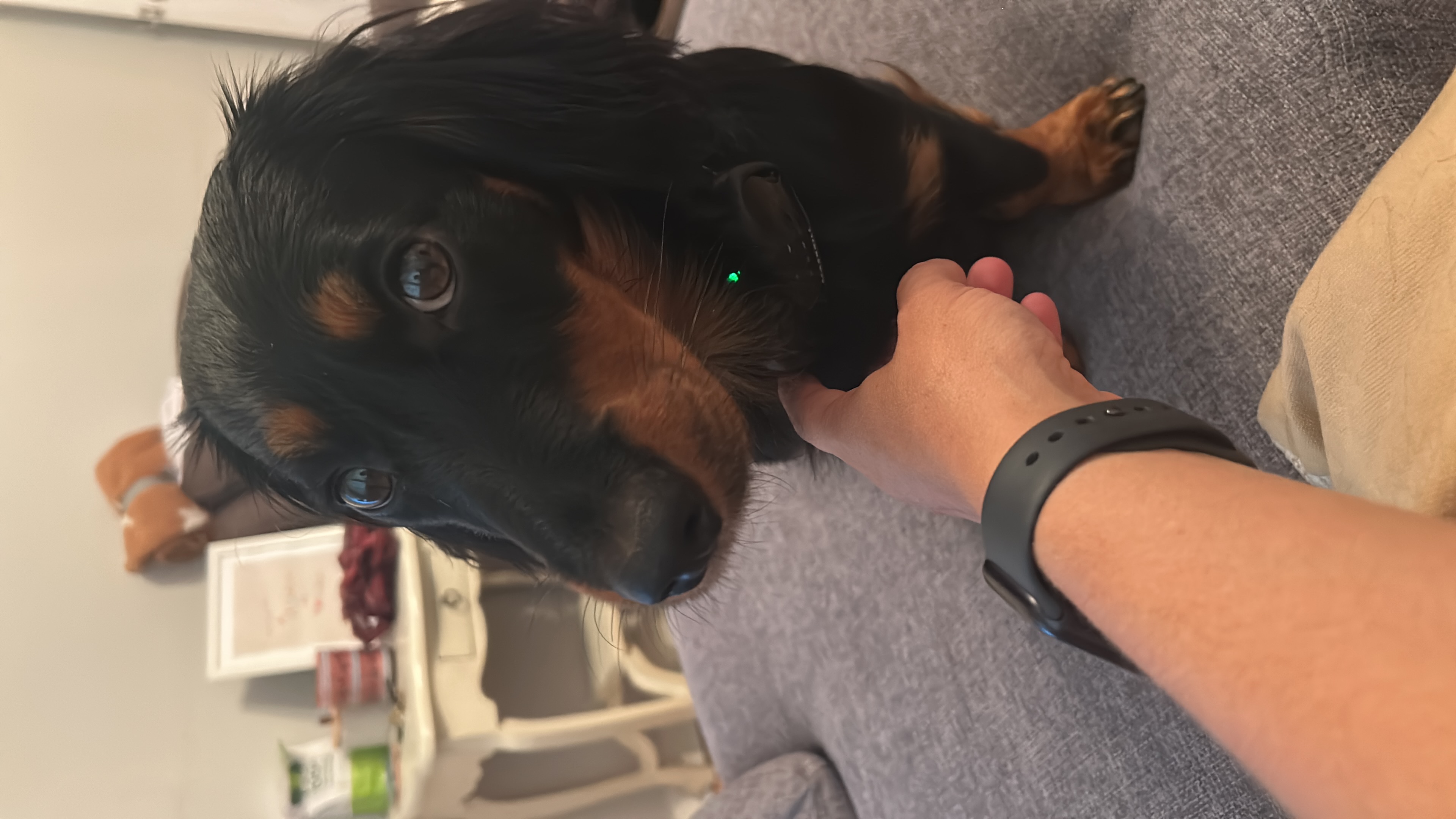image-11