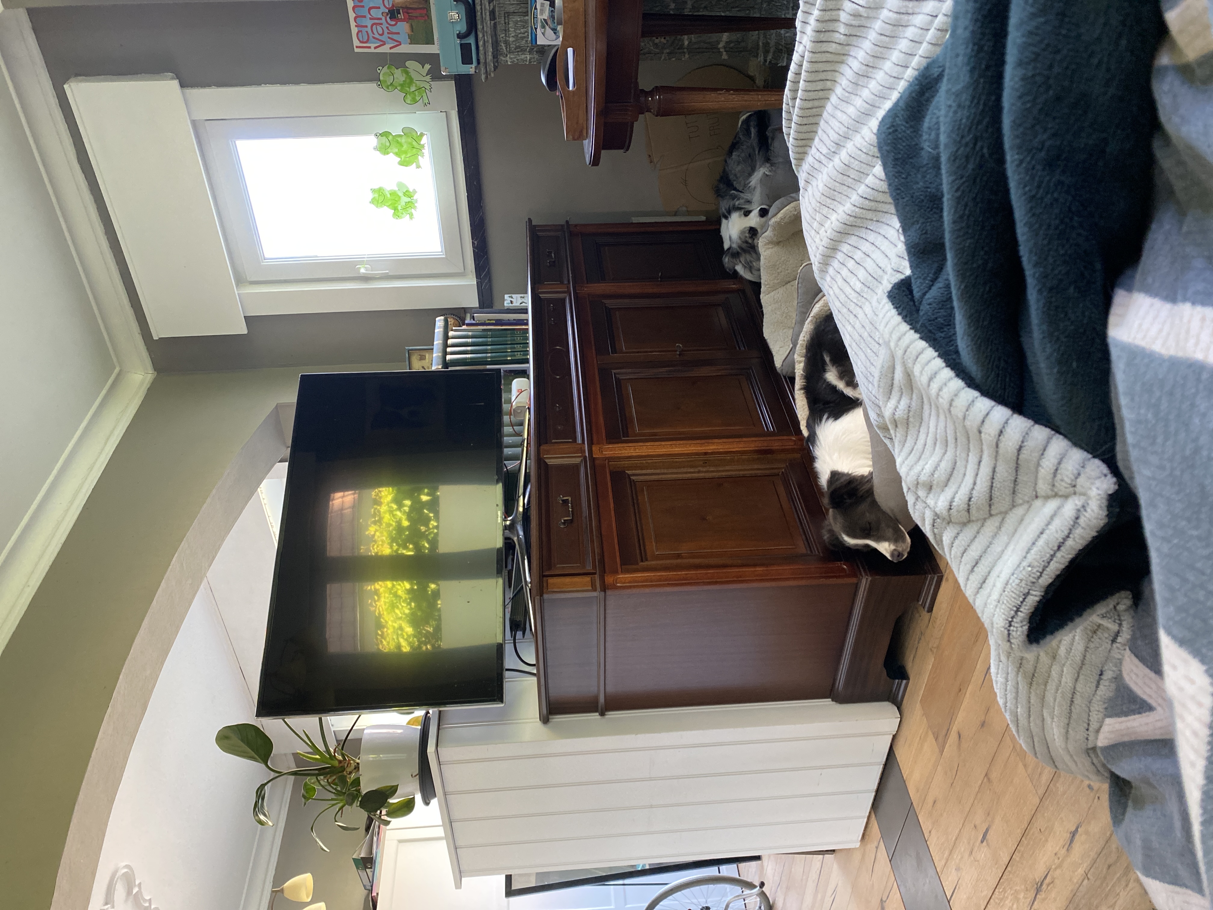 image-19