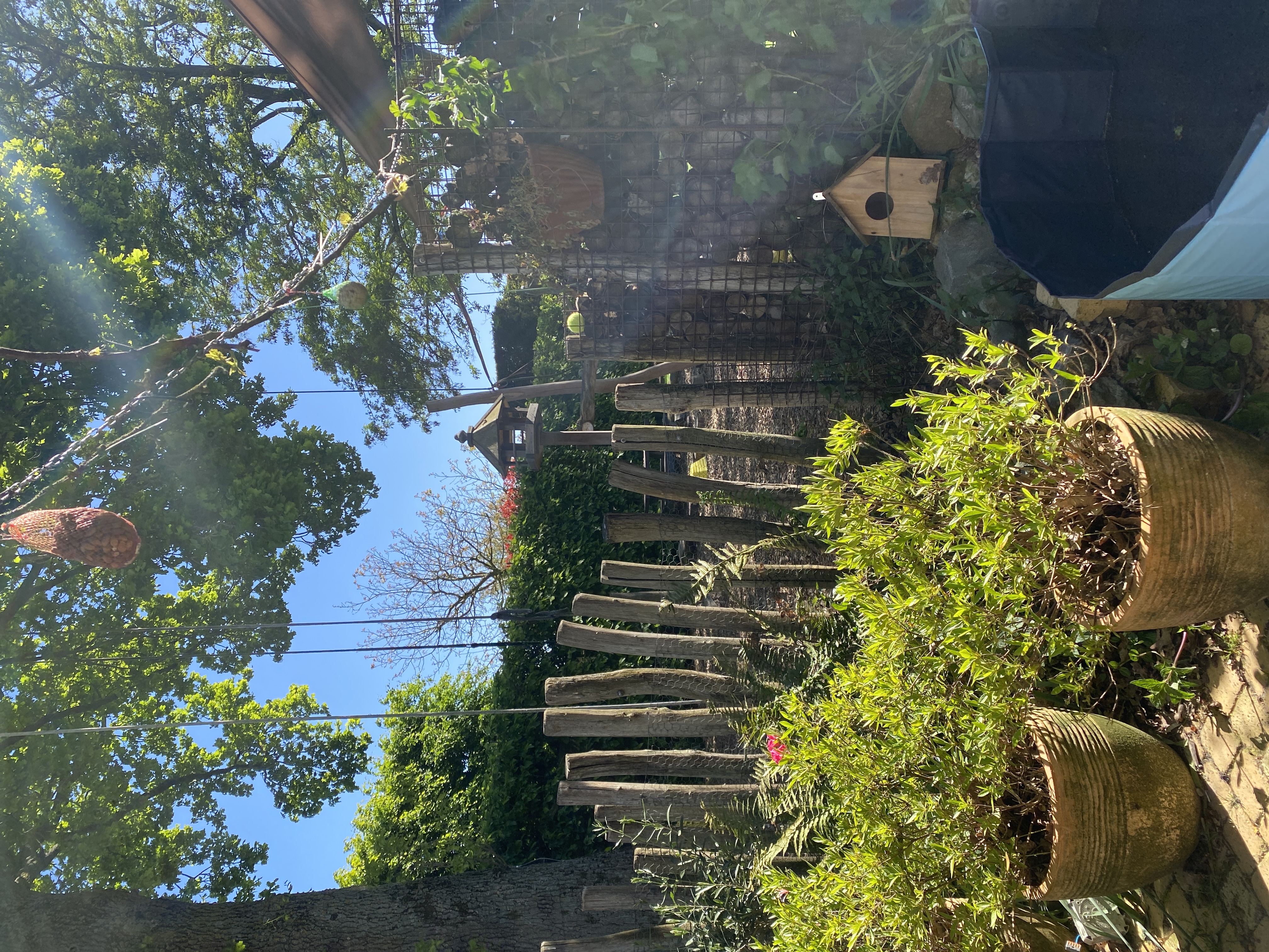 image-14
