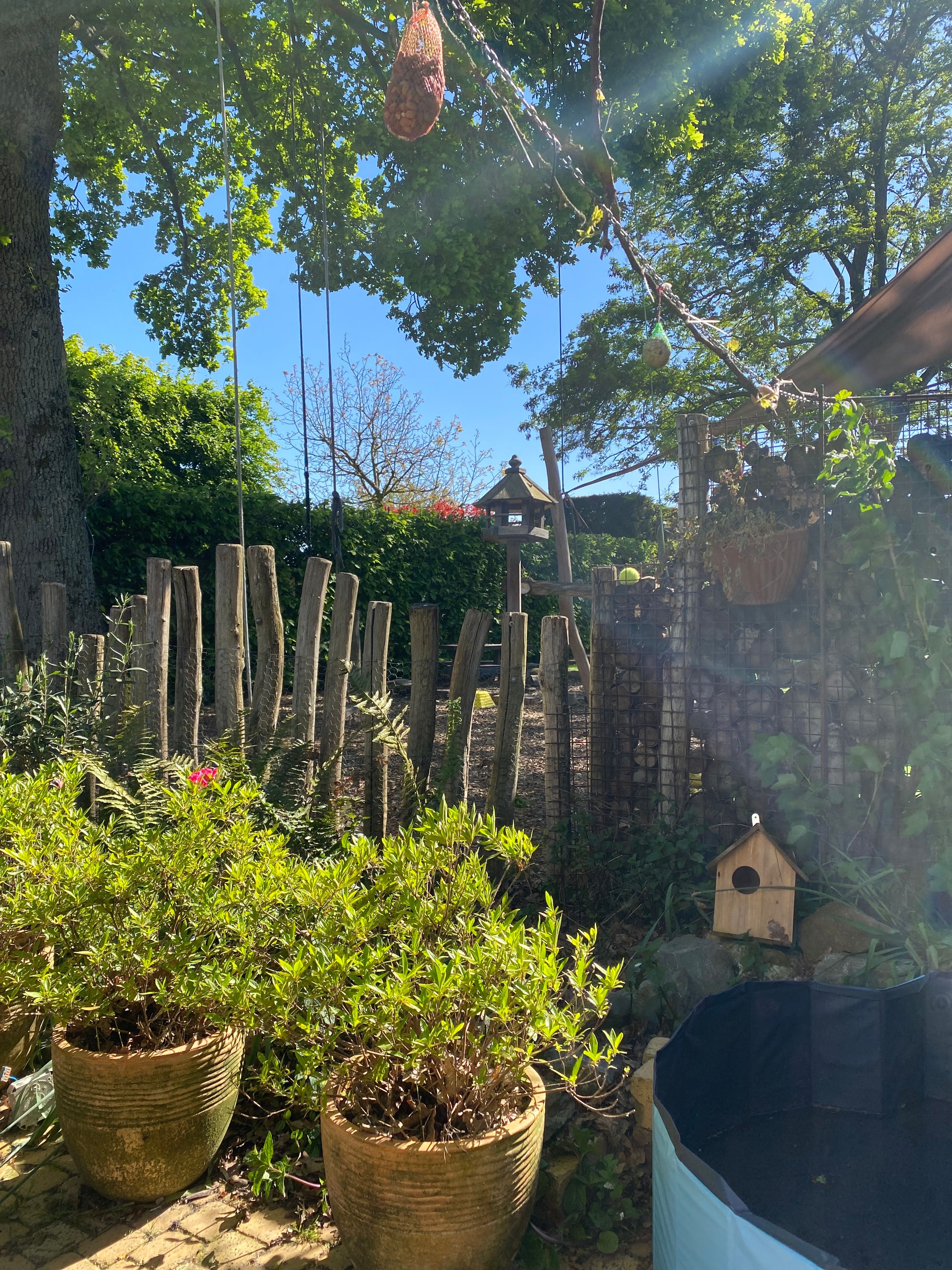 image-14