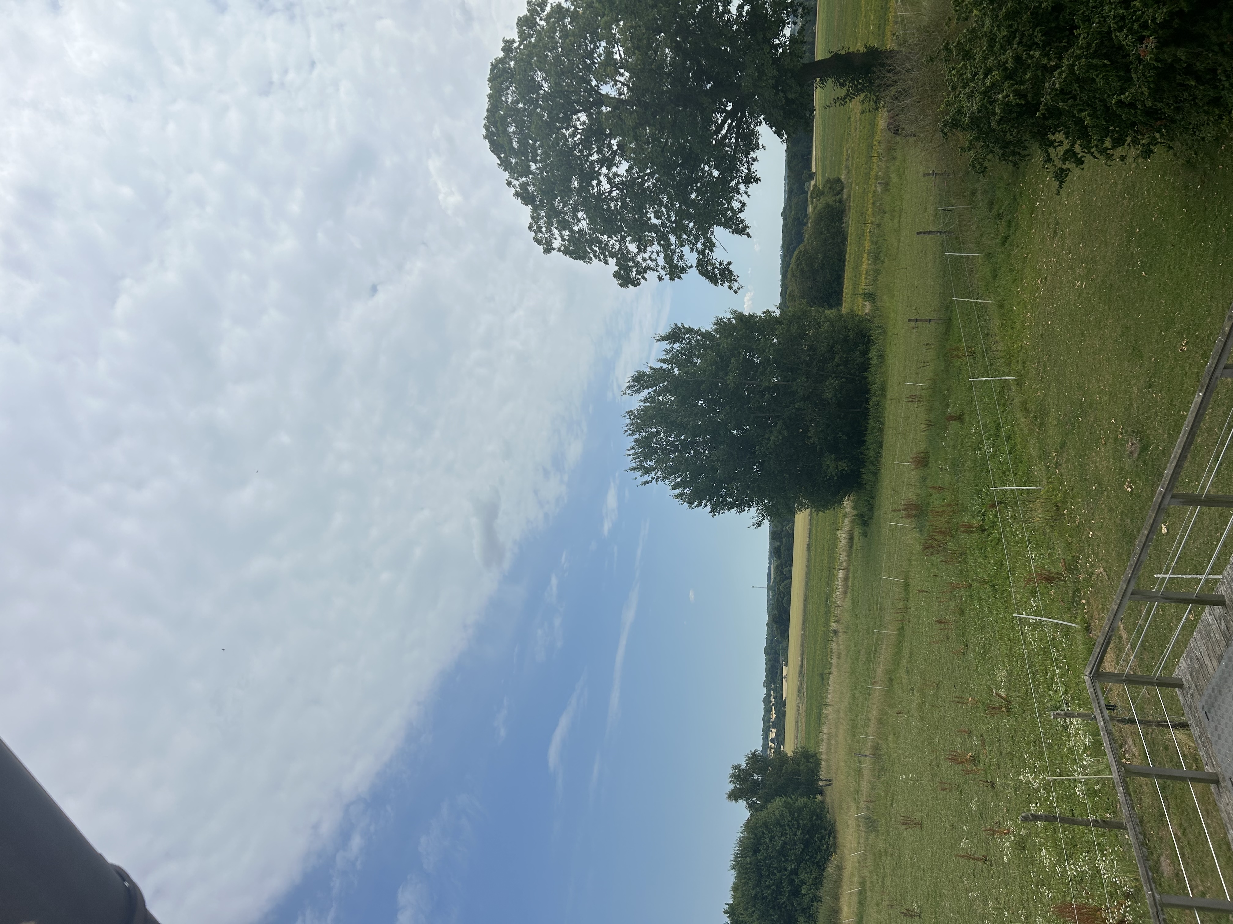 image-14