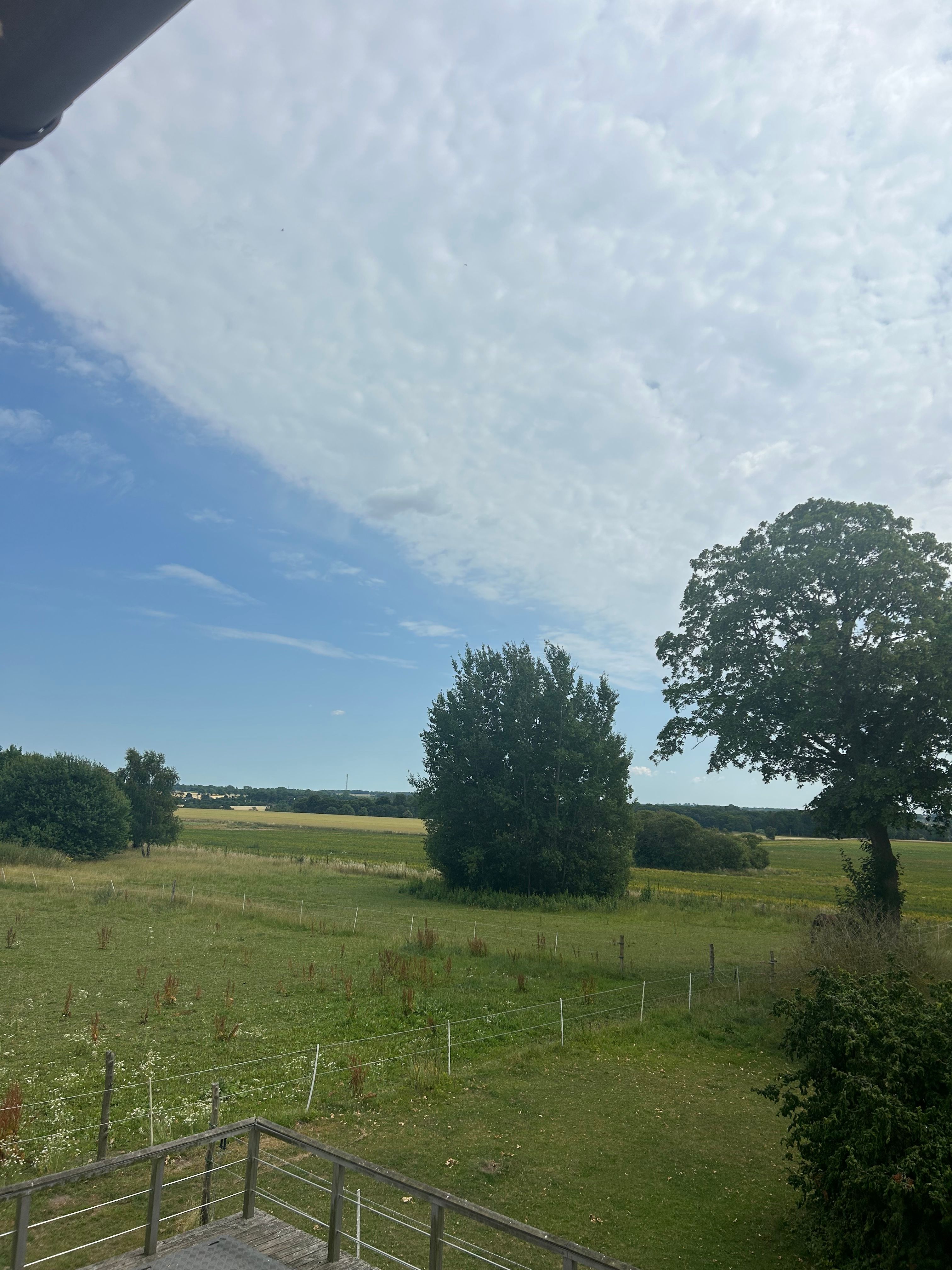 image-14