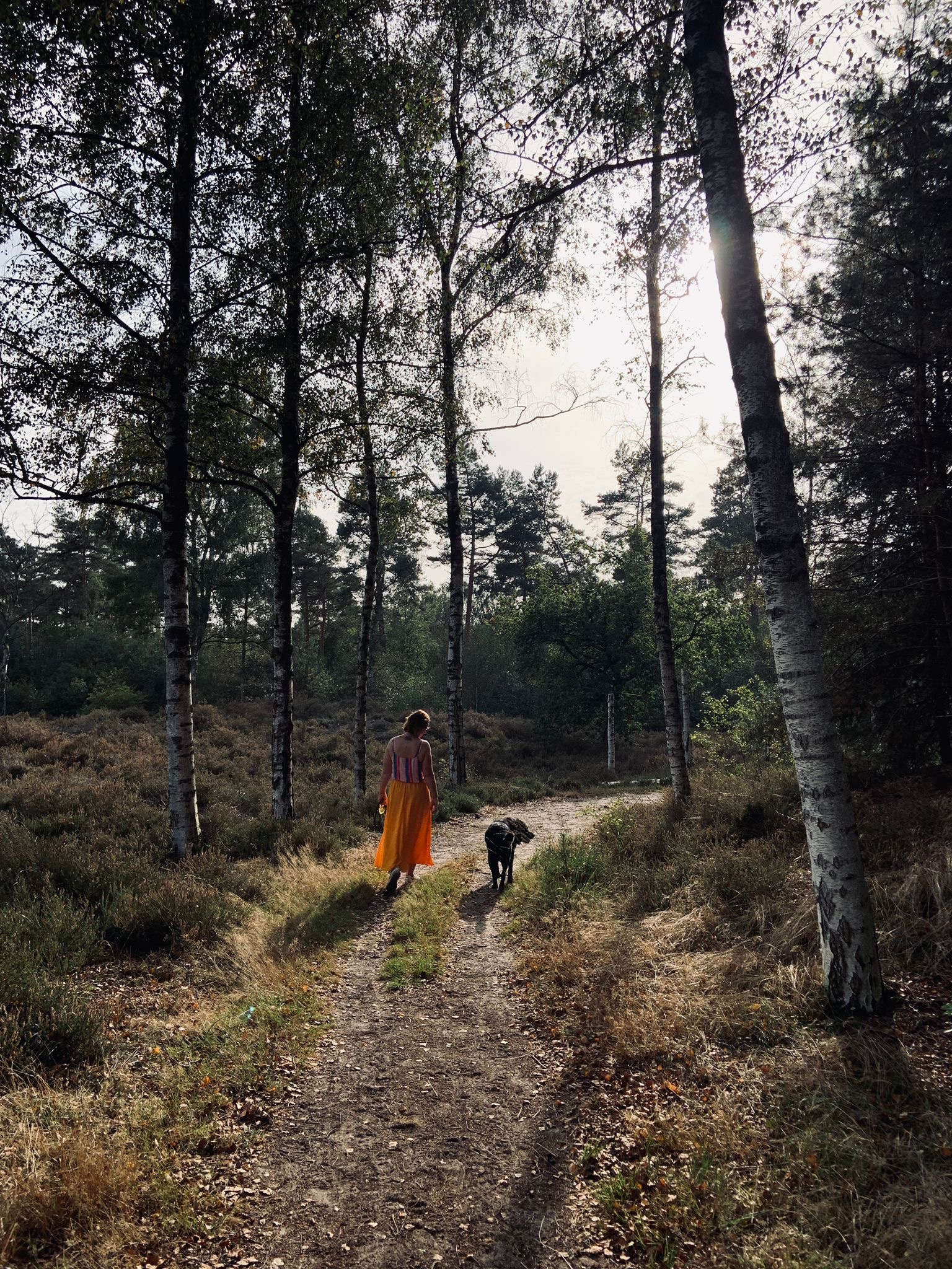image-2