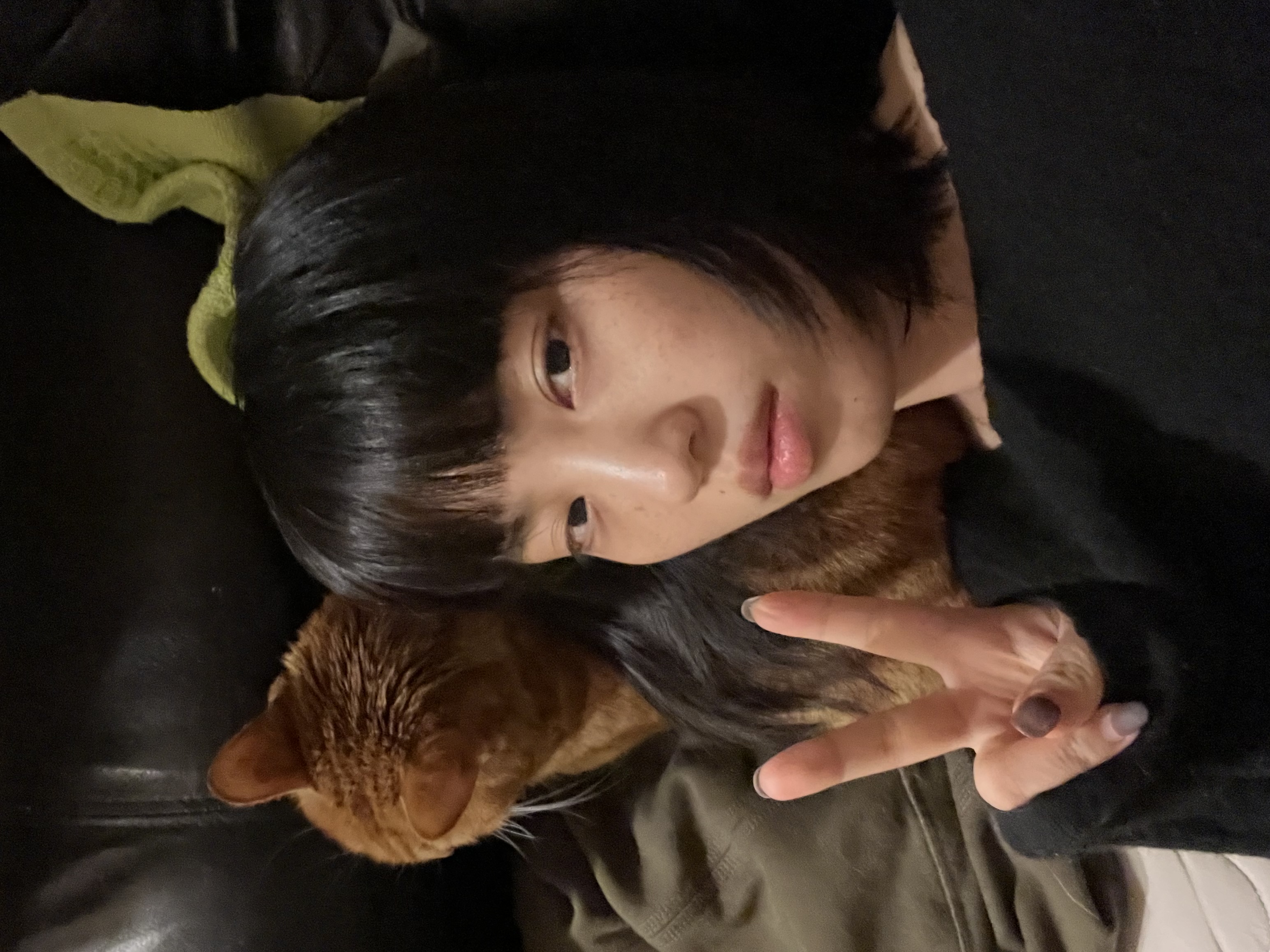 image-7