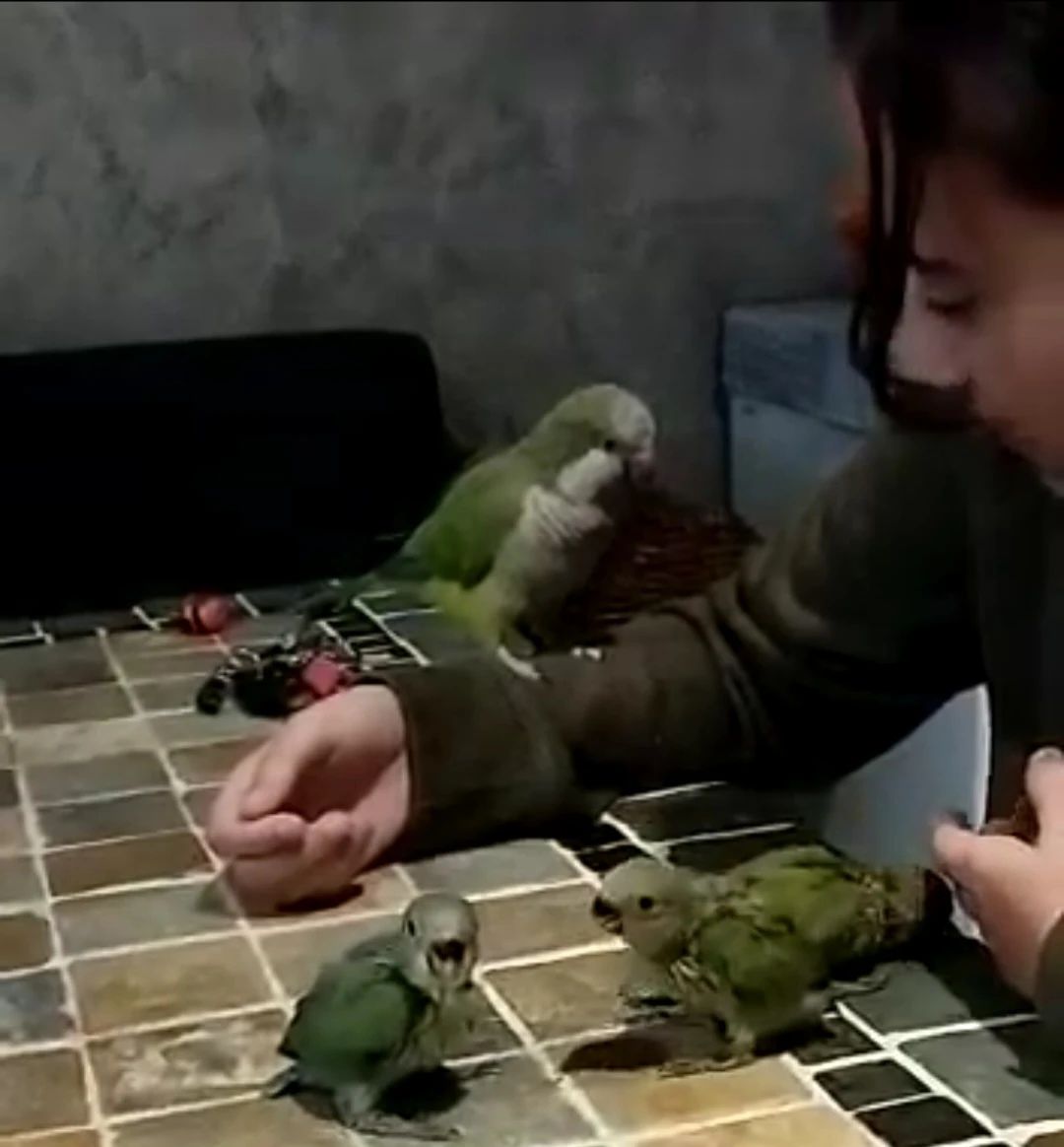 image-13