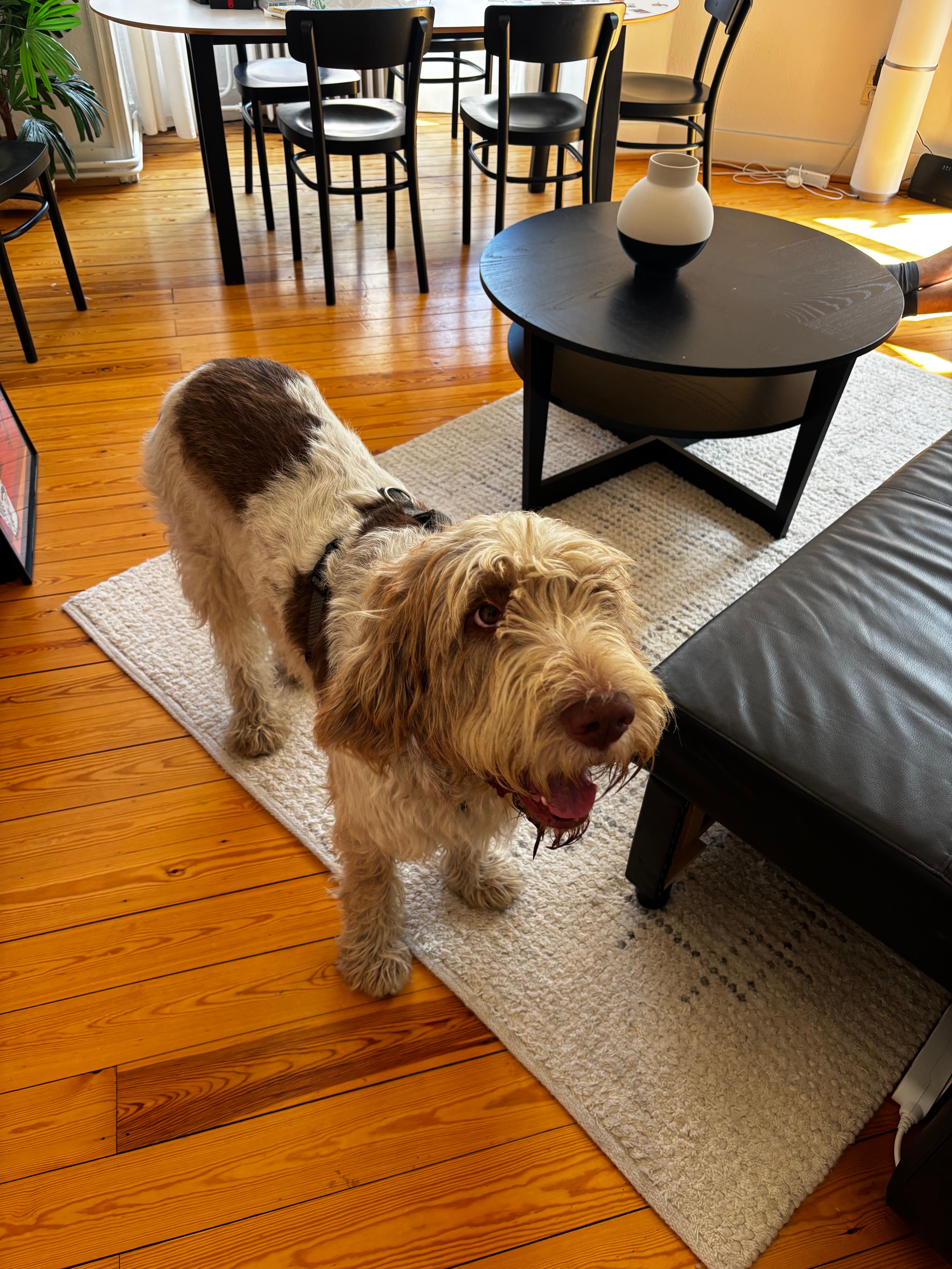 image-10