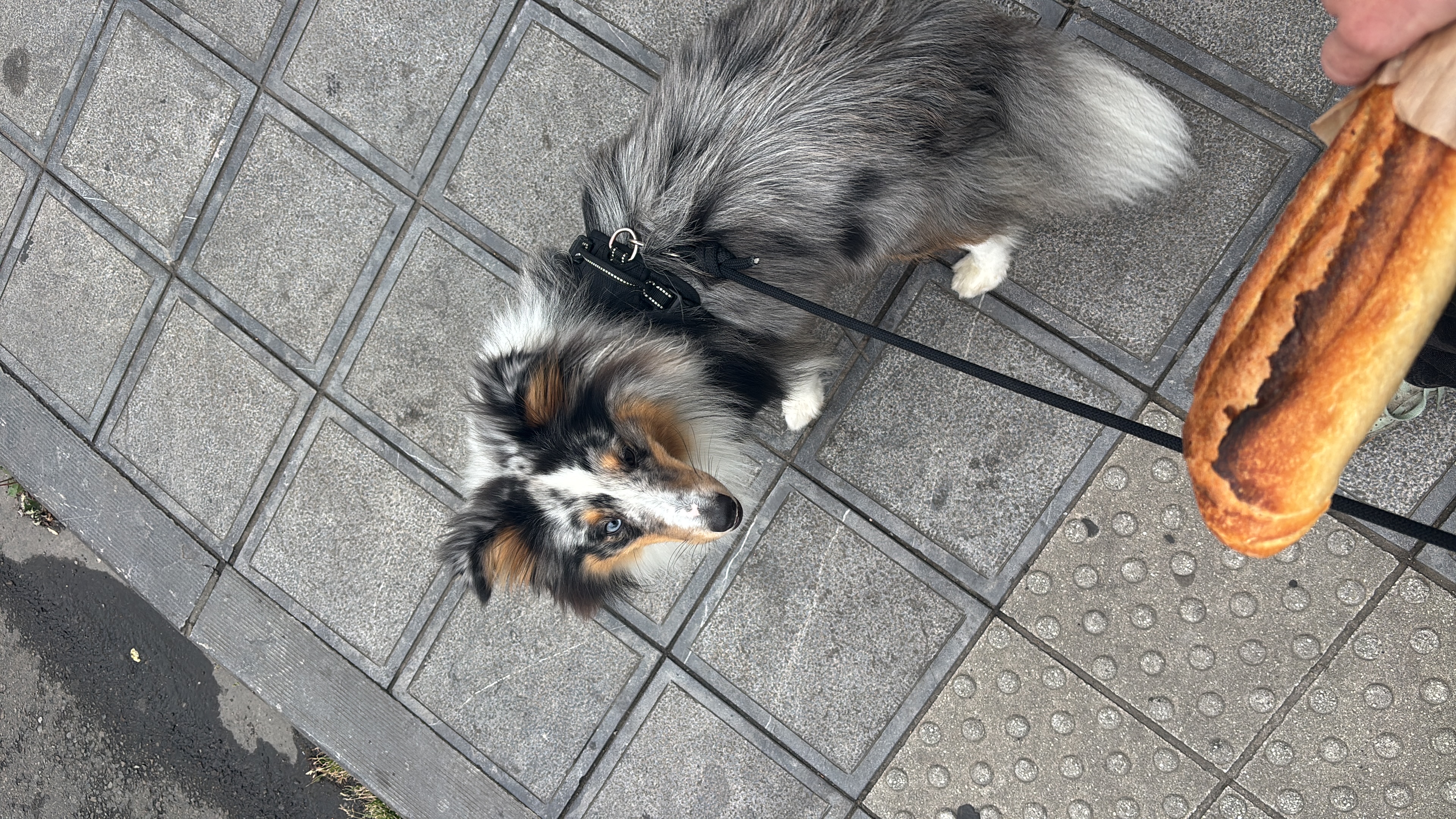 image-7