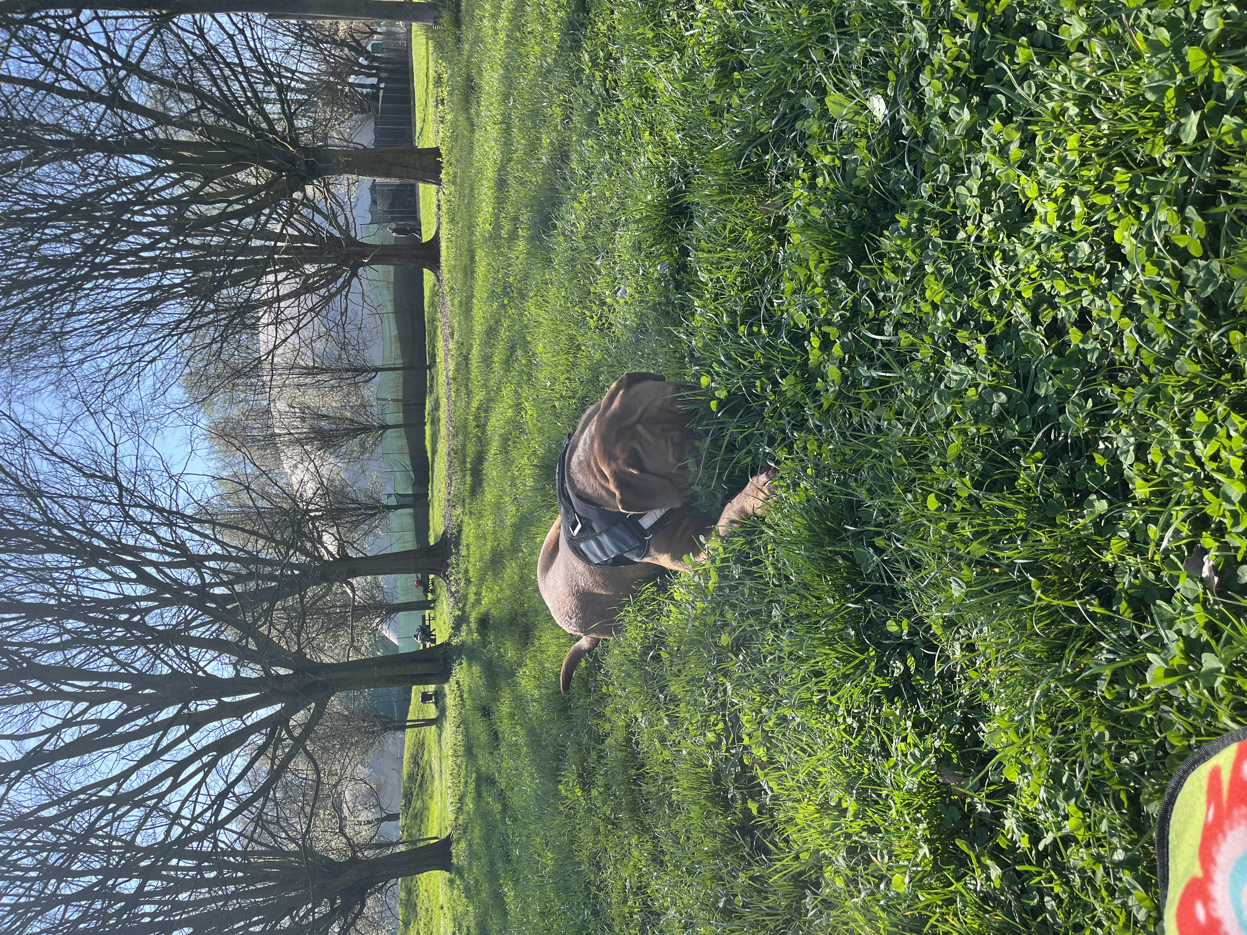 image-8