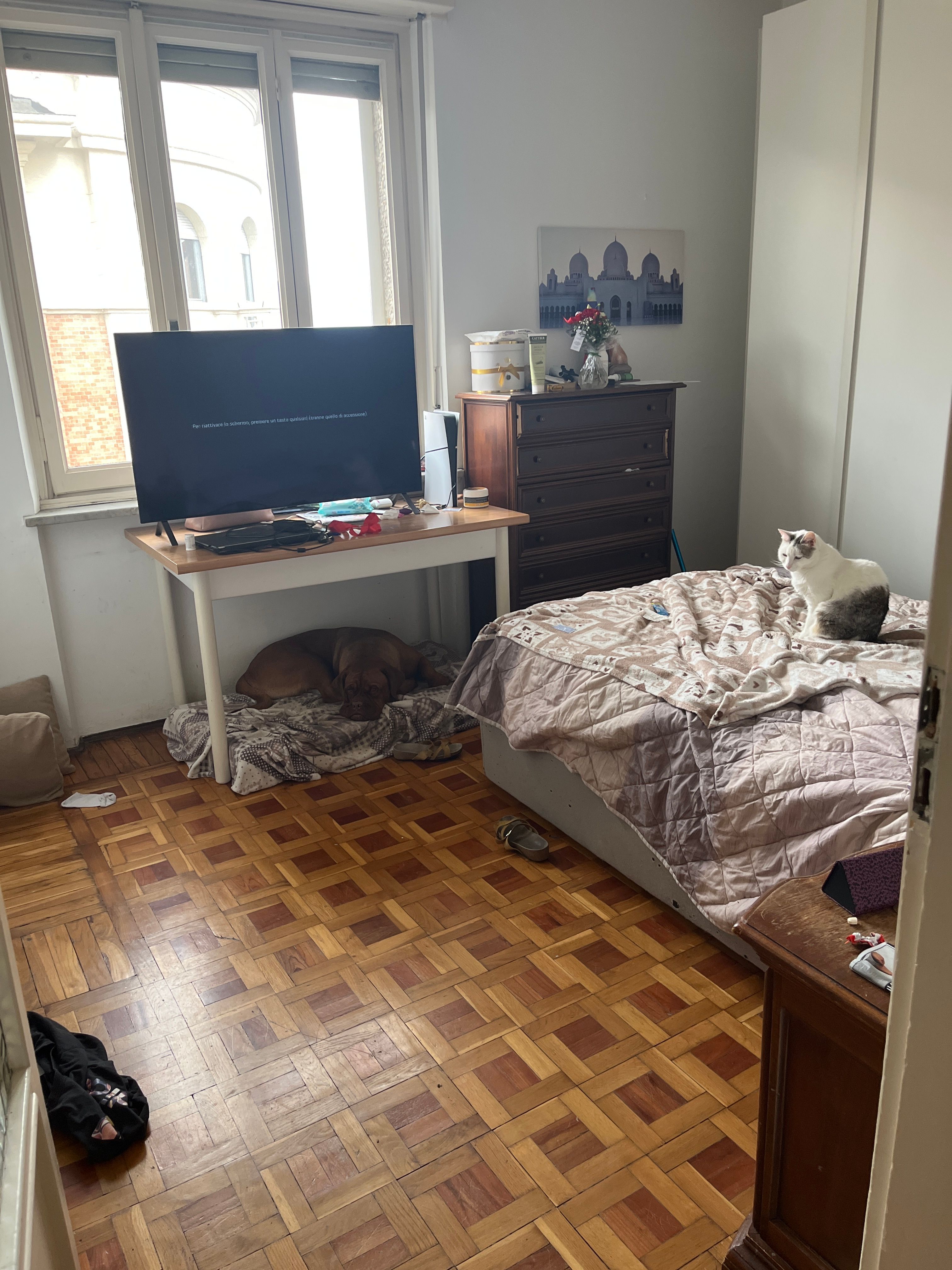 image-24