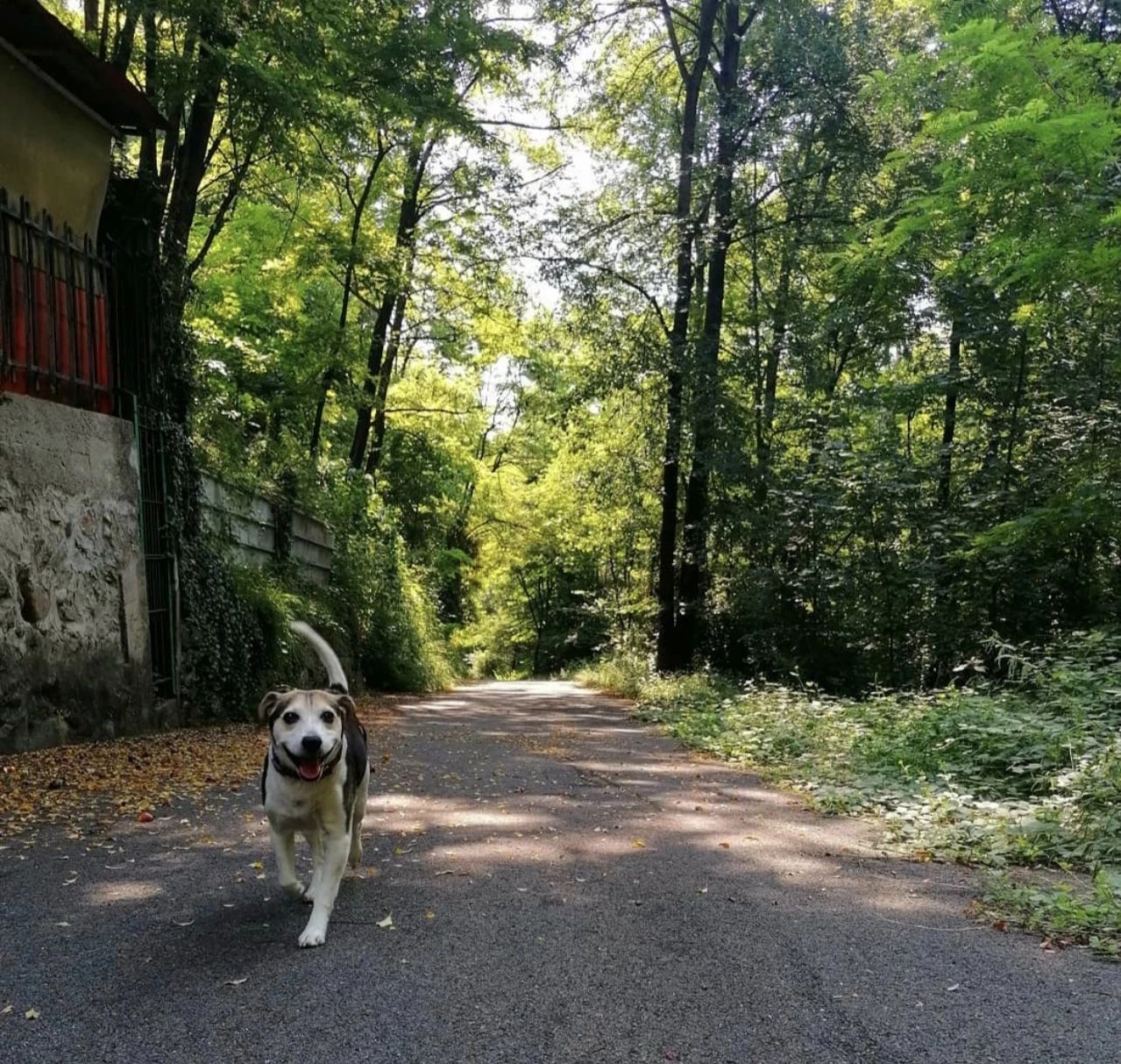 image-5