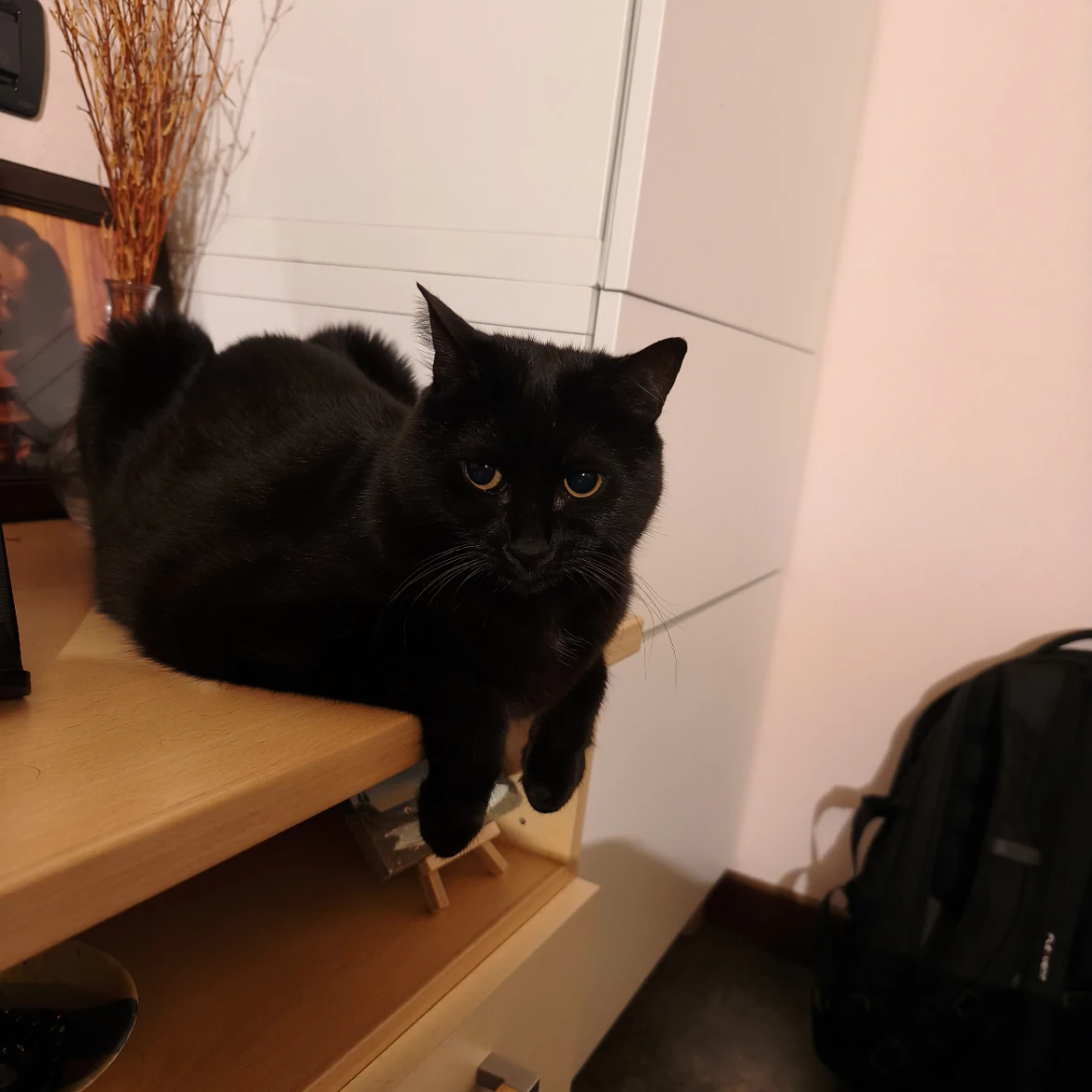 Lilith