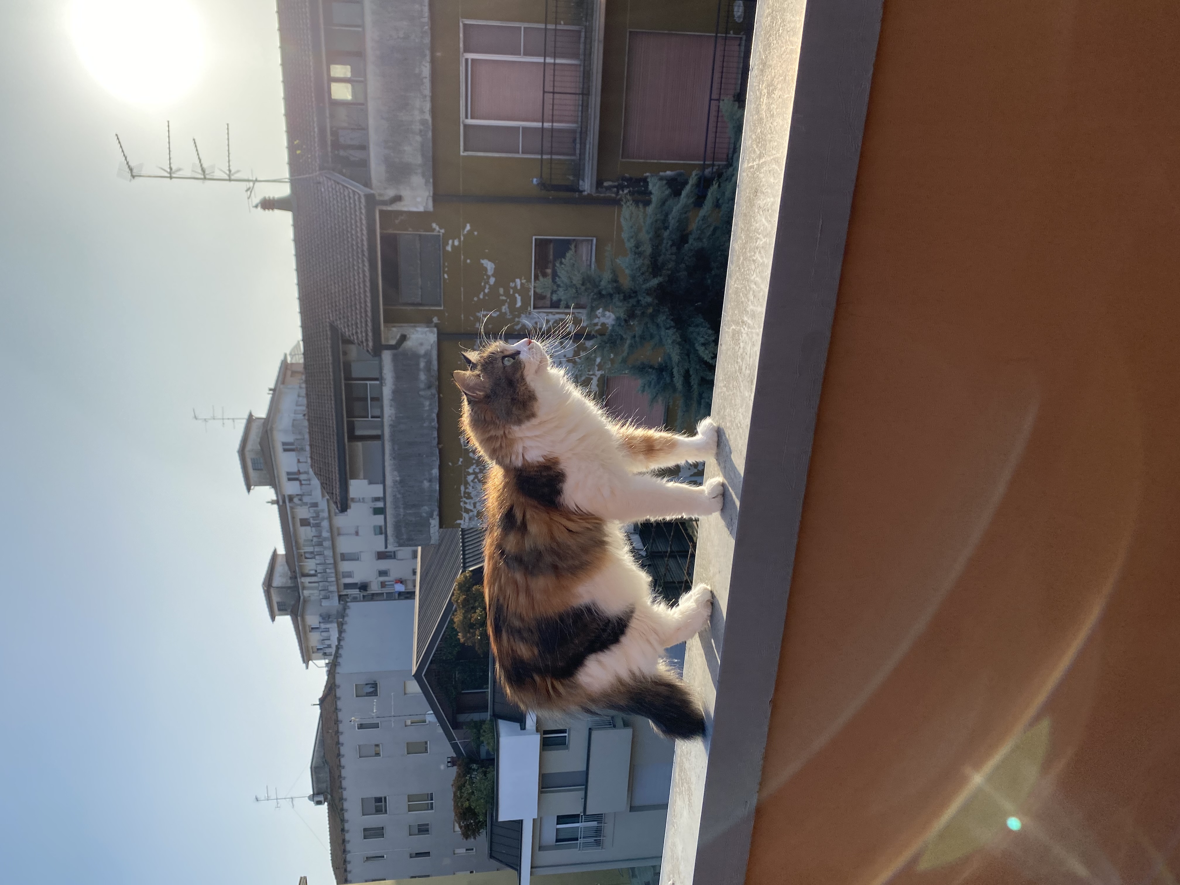 image-14