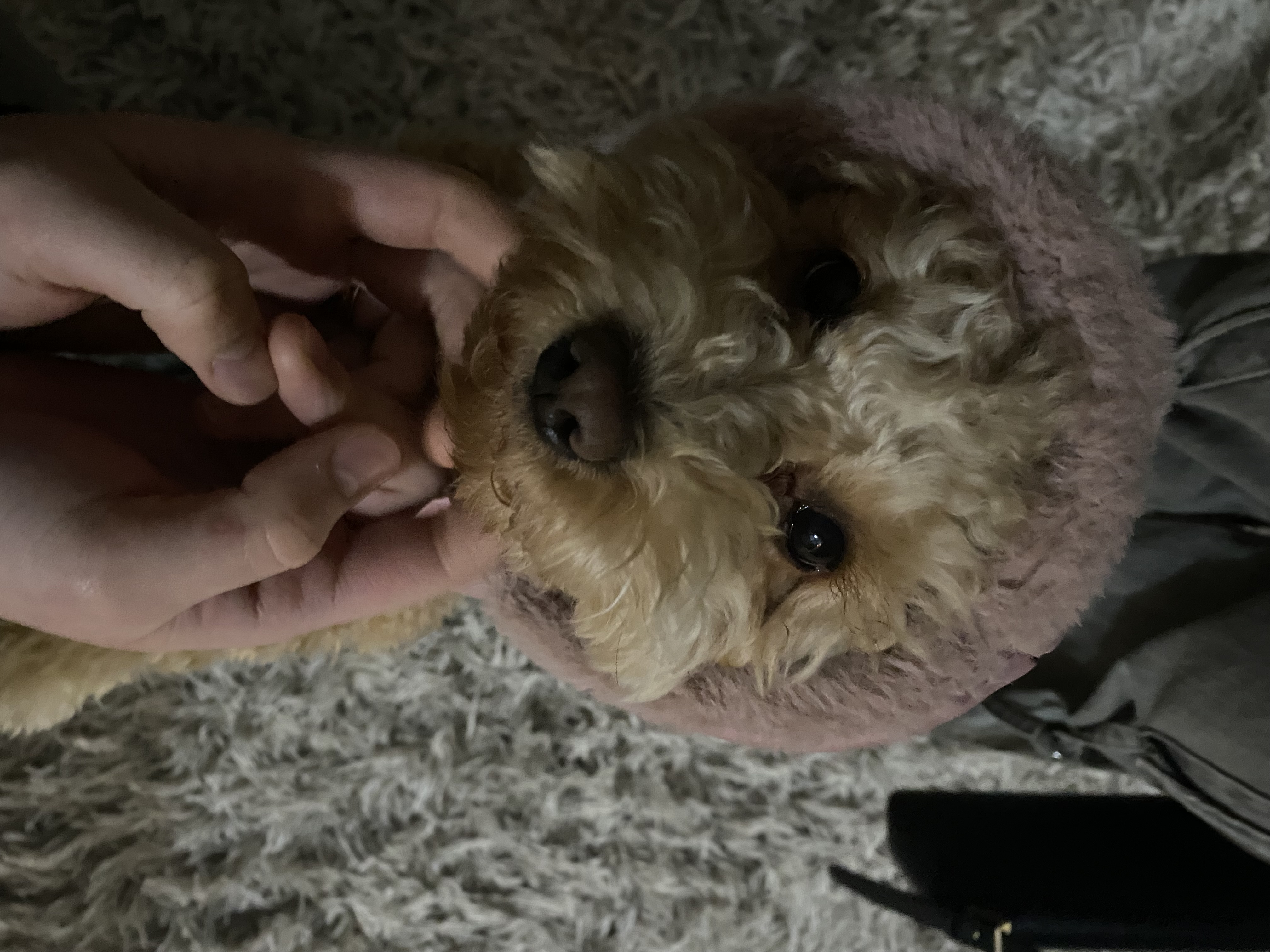 image-5