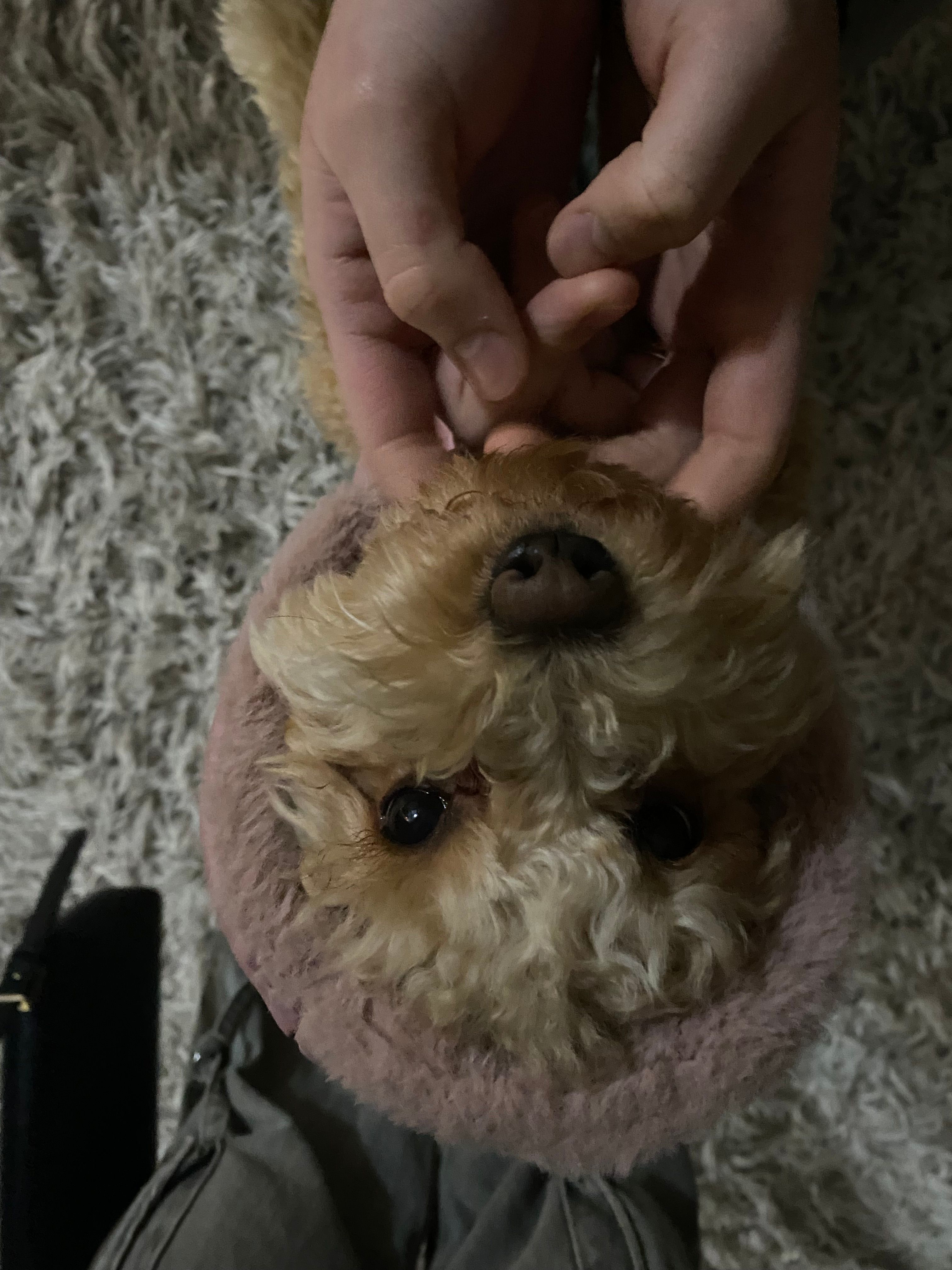 image-5