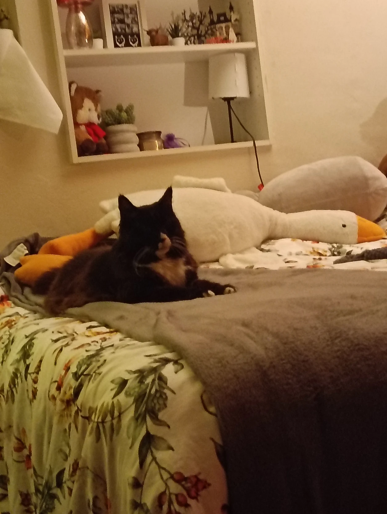 image-8