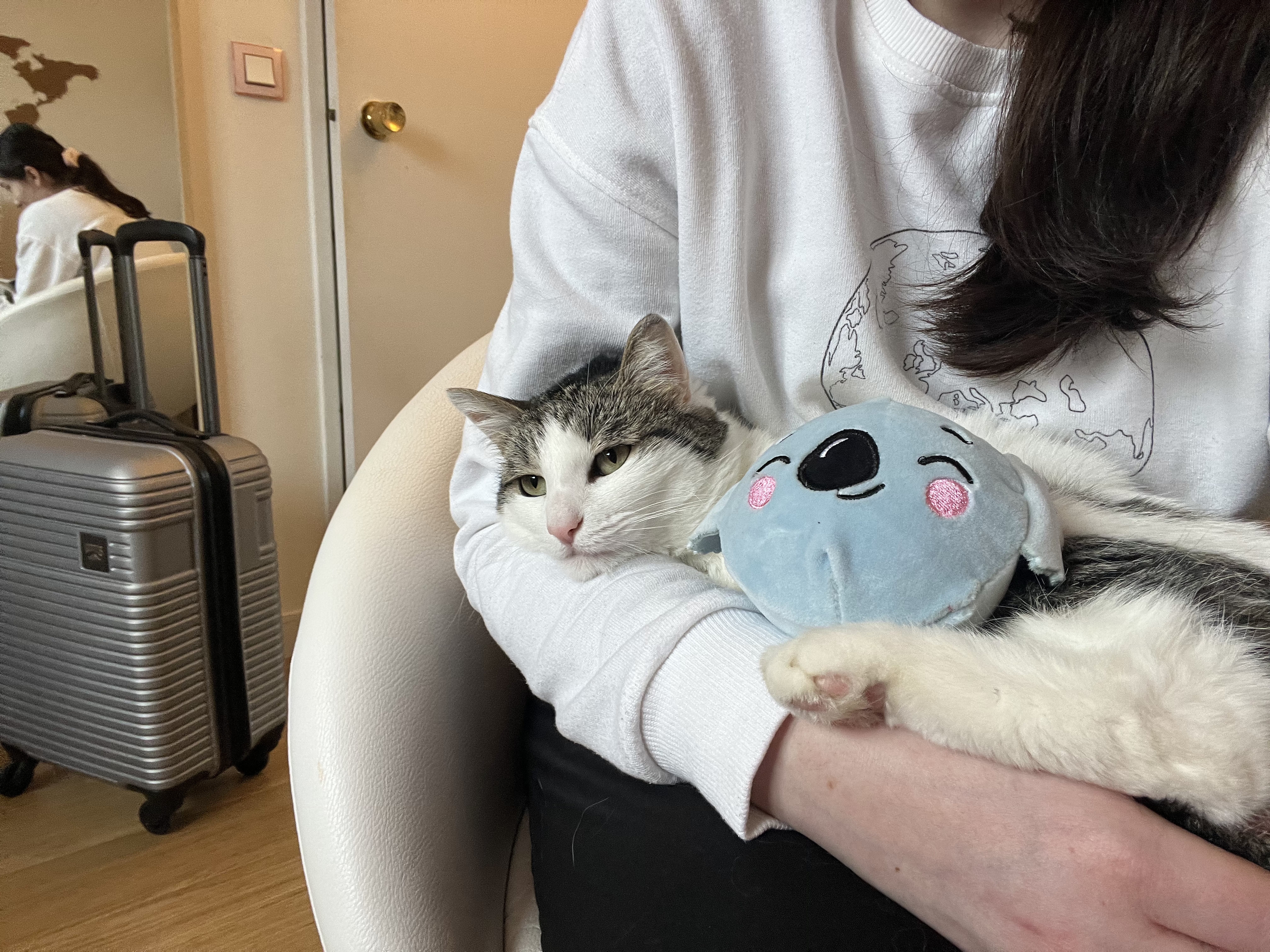 image-16