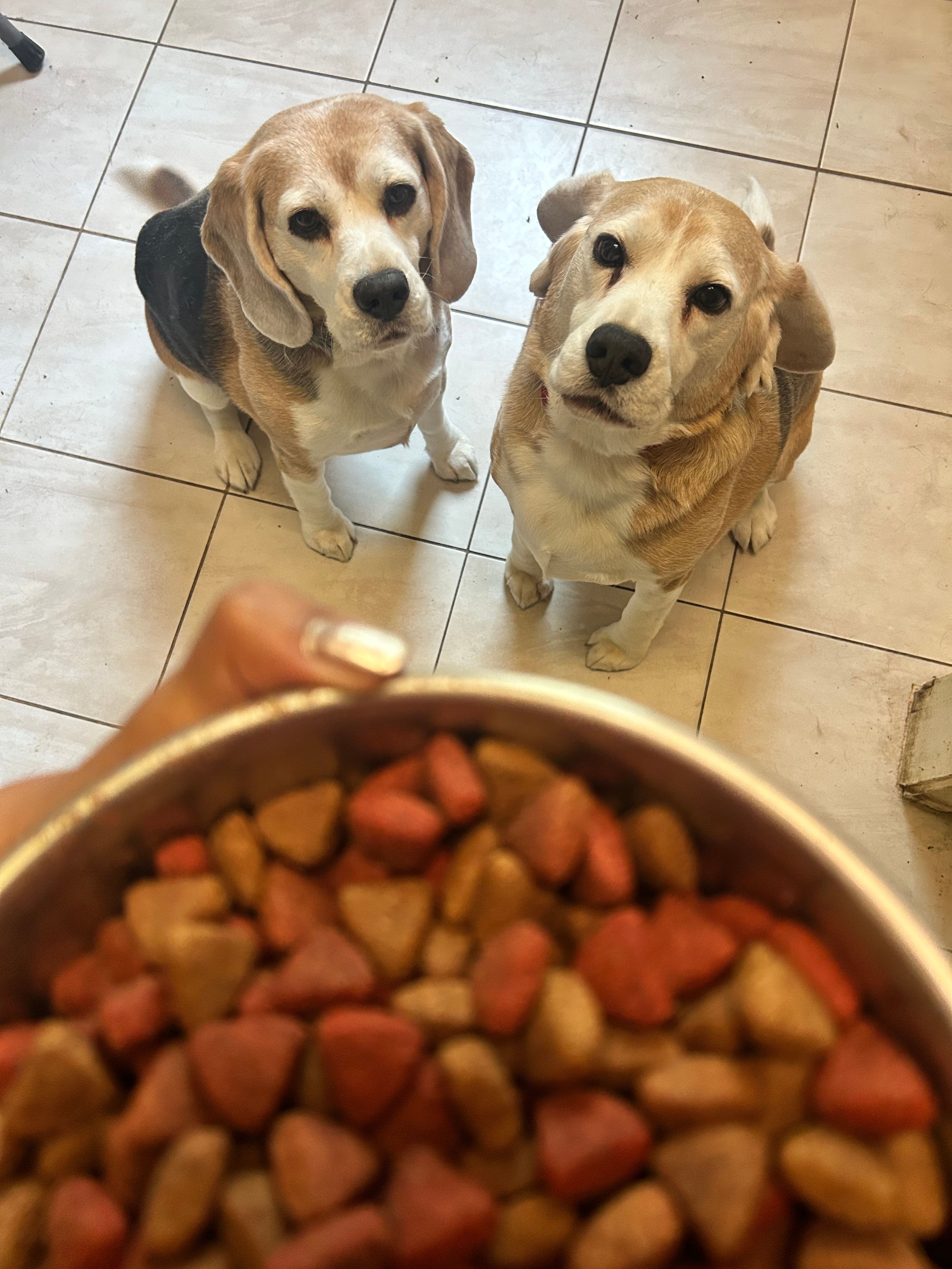 image-42