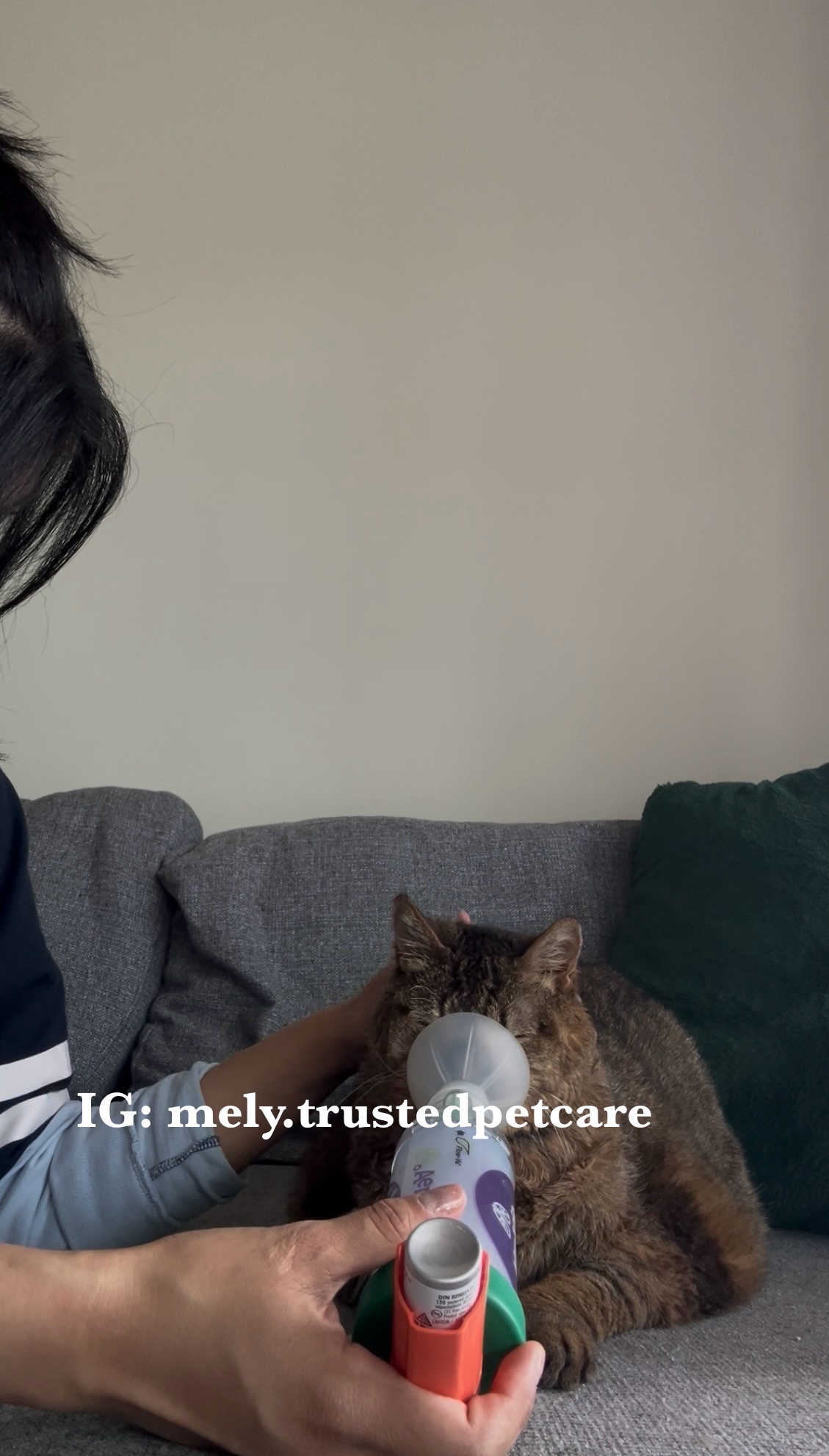 image-37