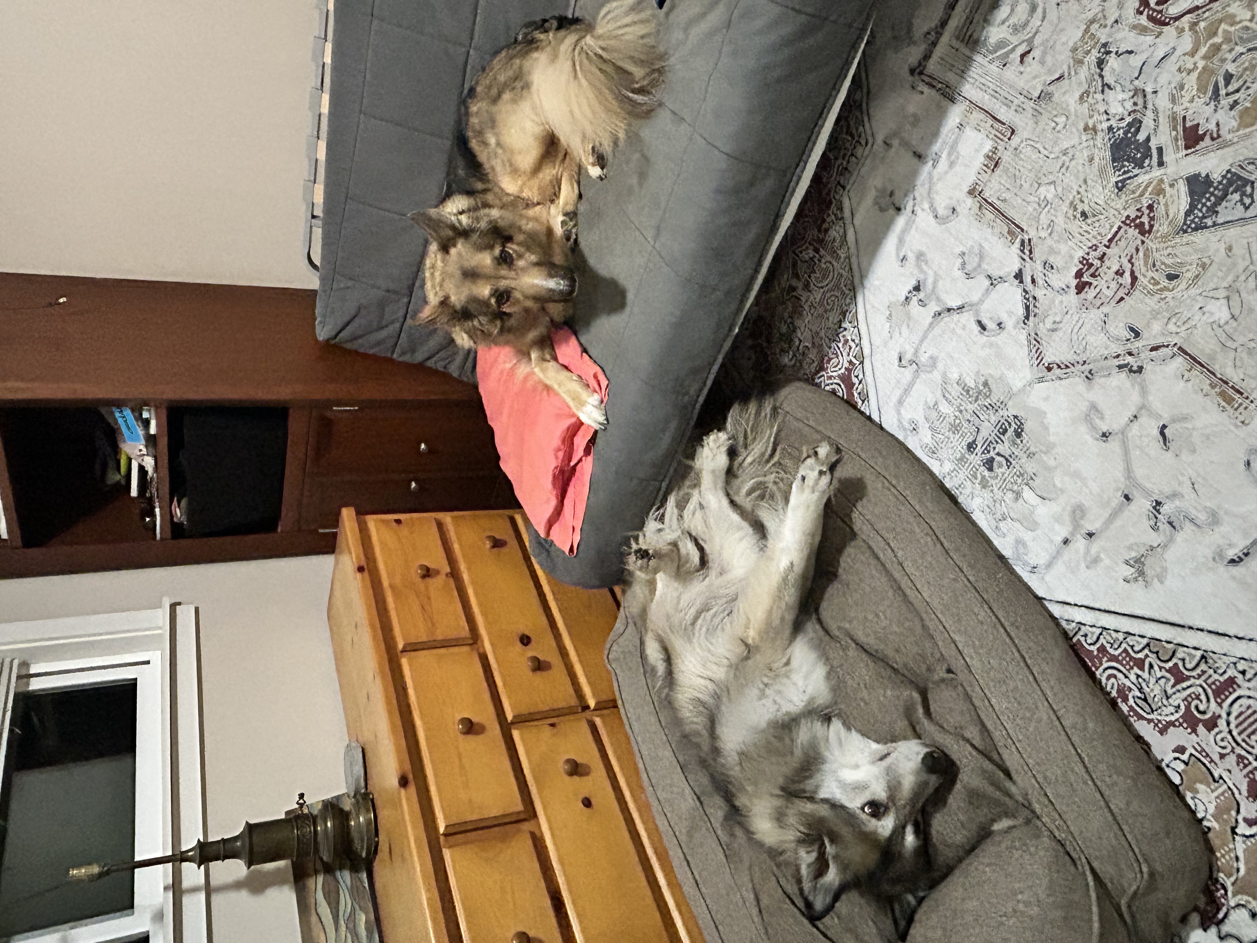 image-33