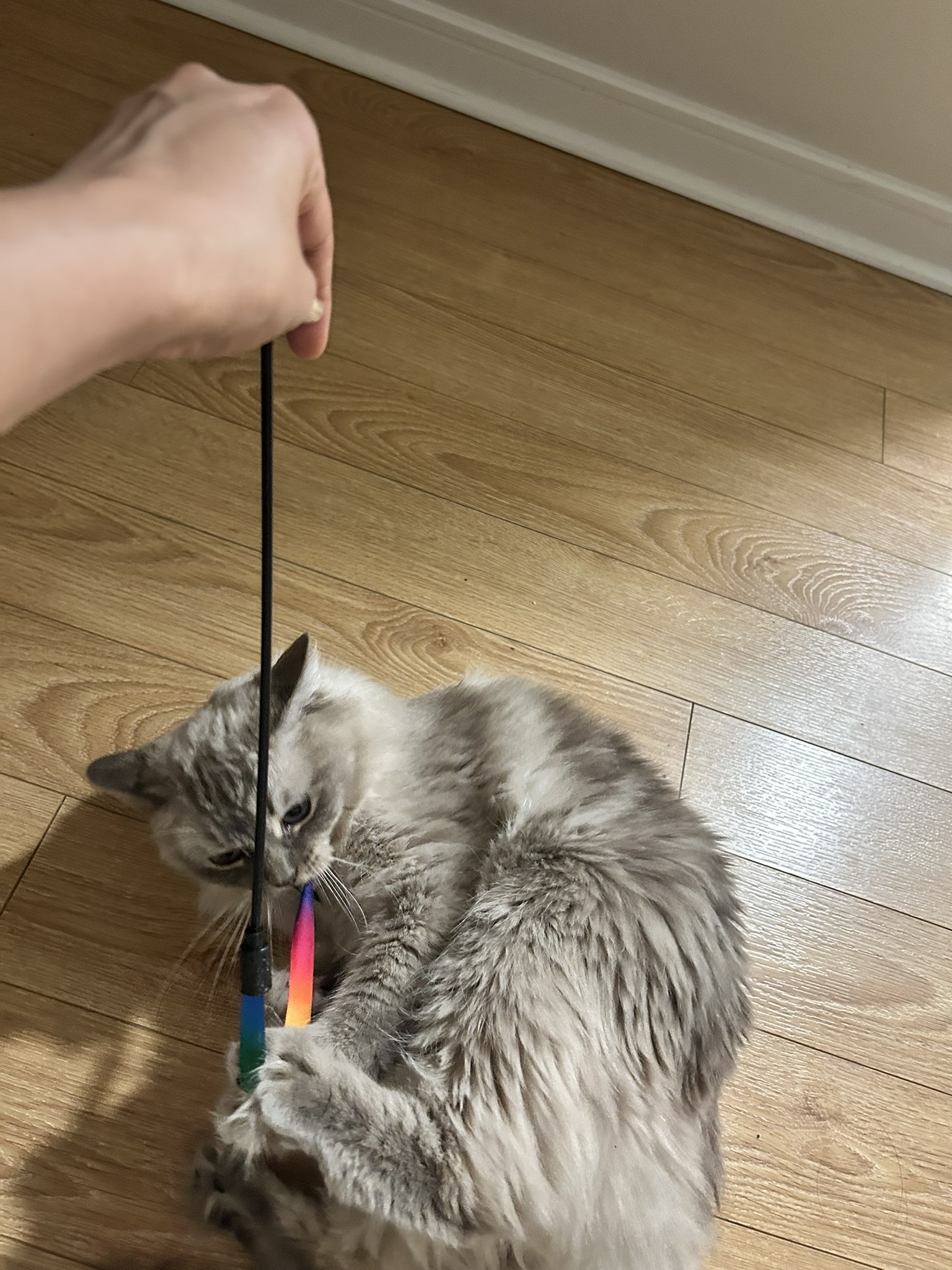 image-16