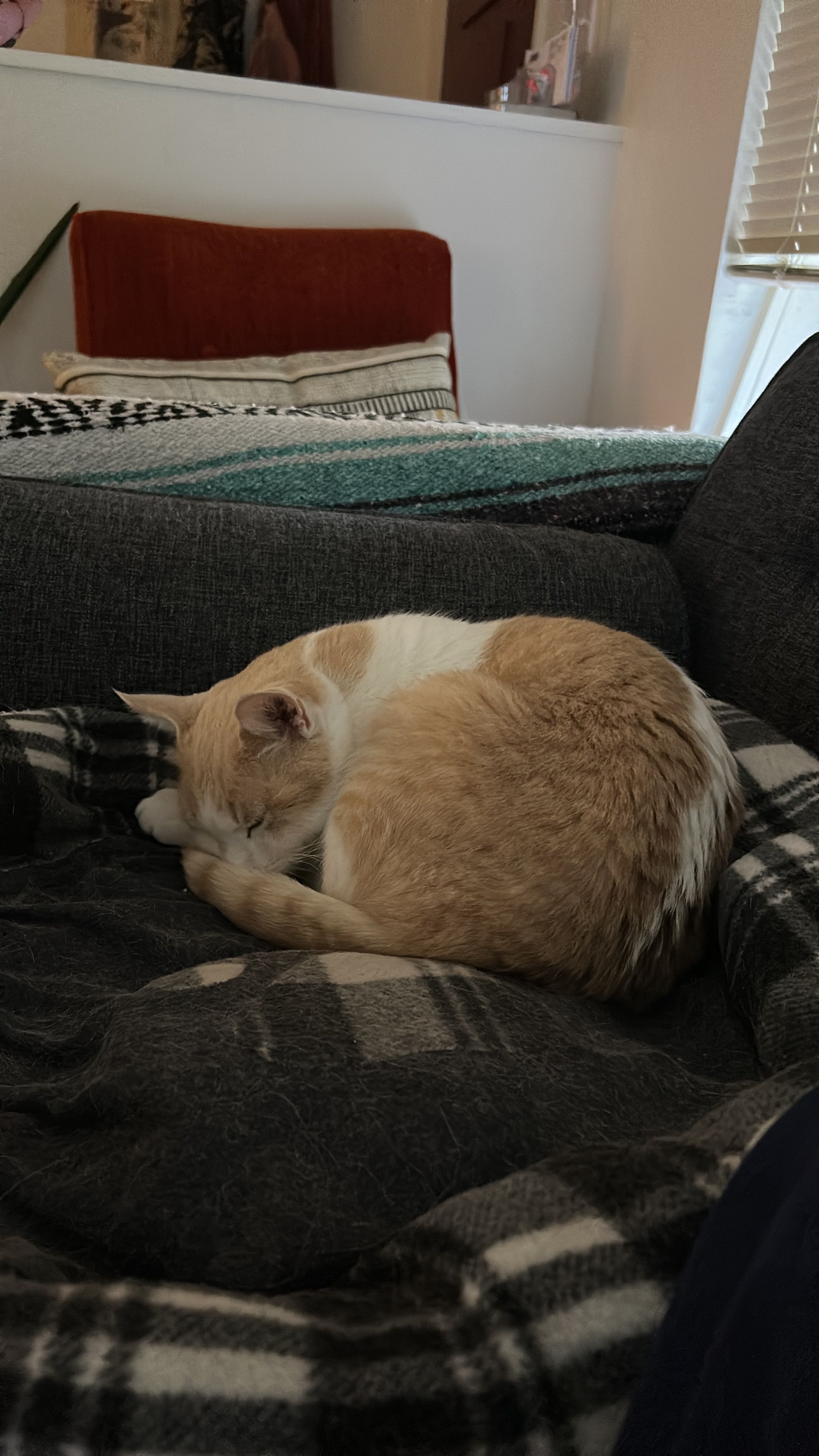 image-28
