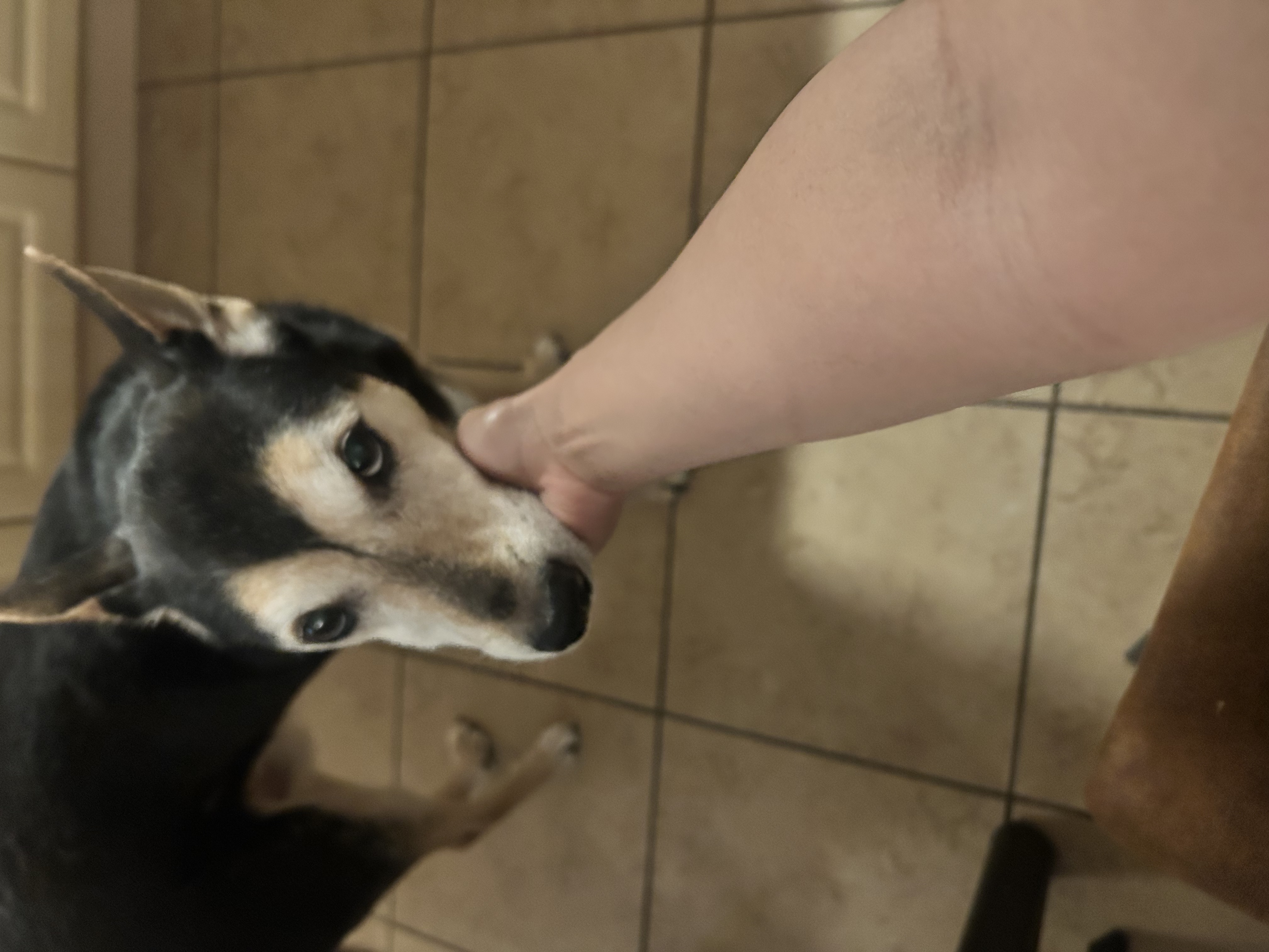 image-38