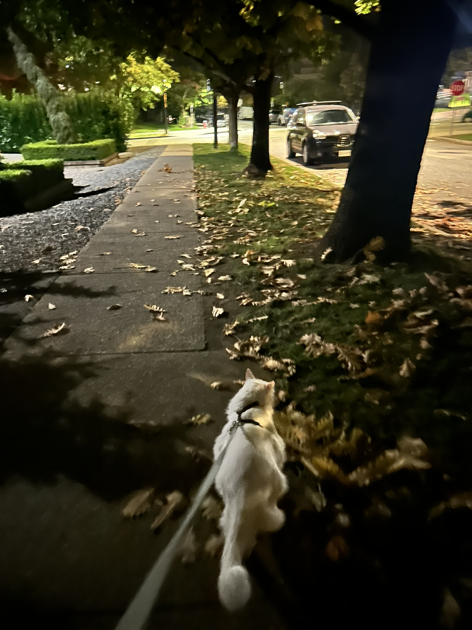 image-14