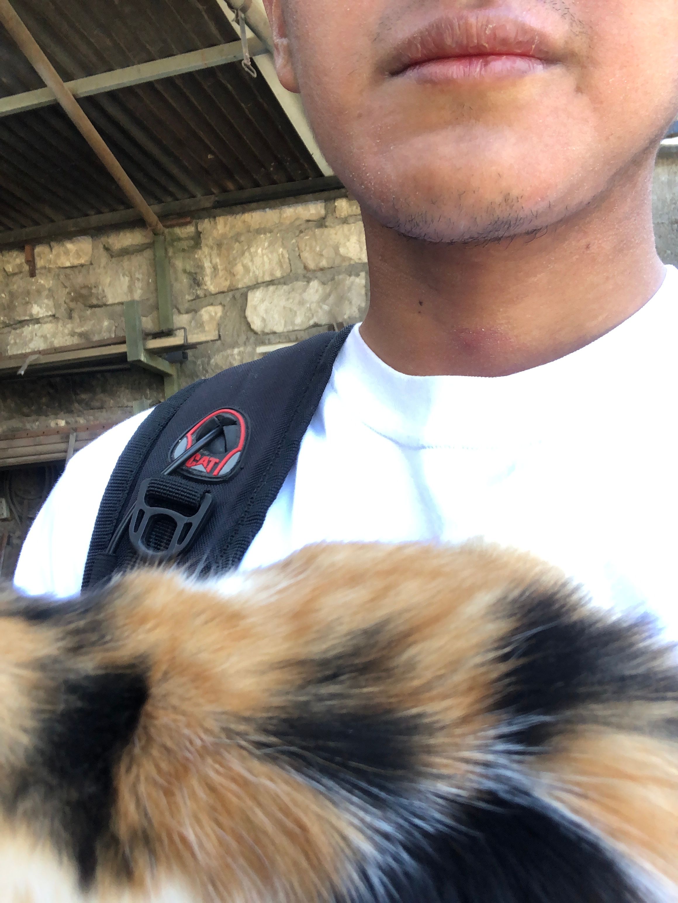 image-3