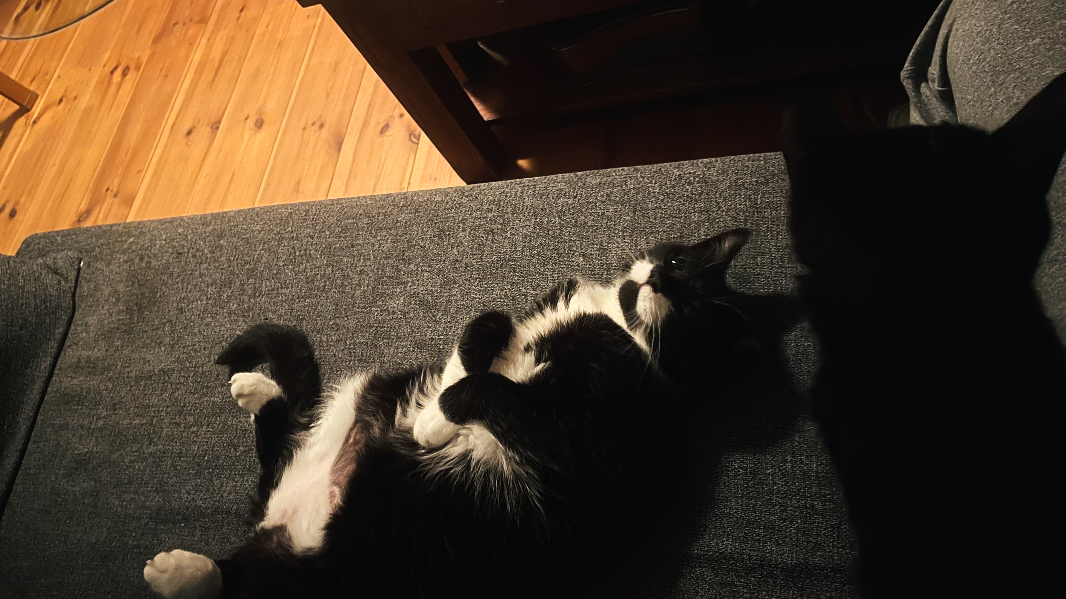 image-13