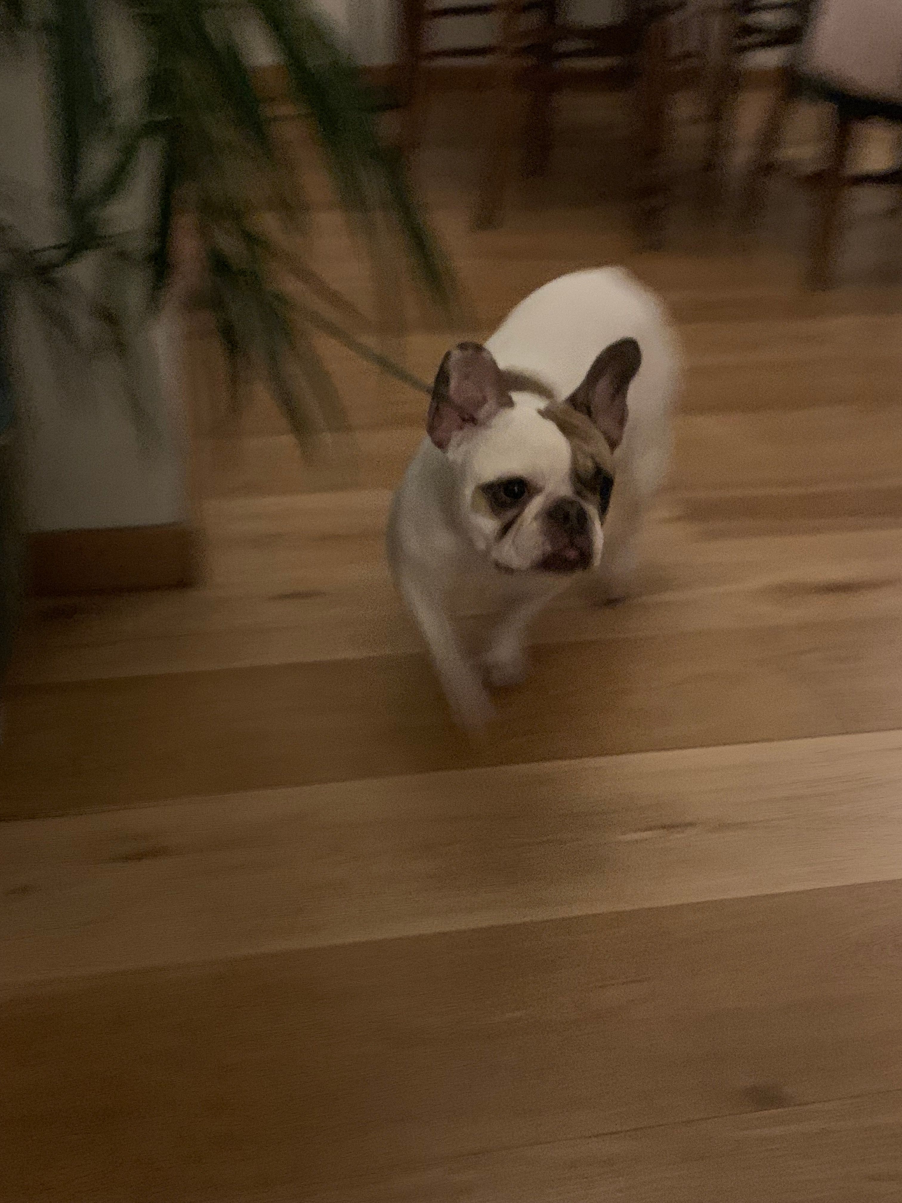 image-10