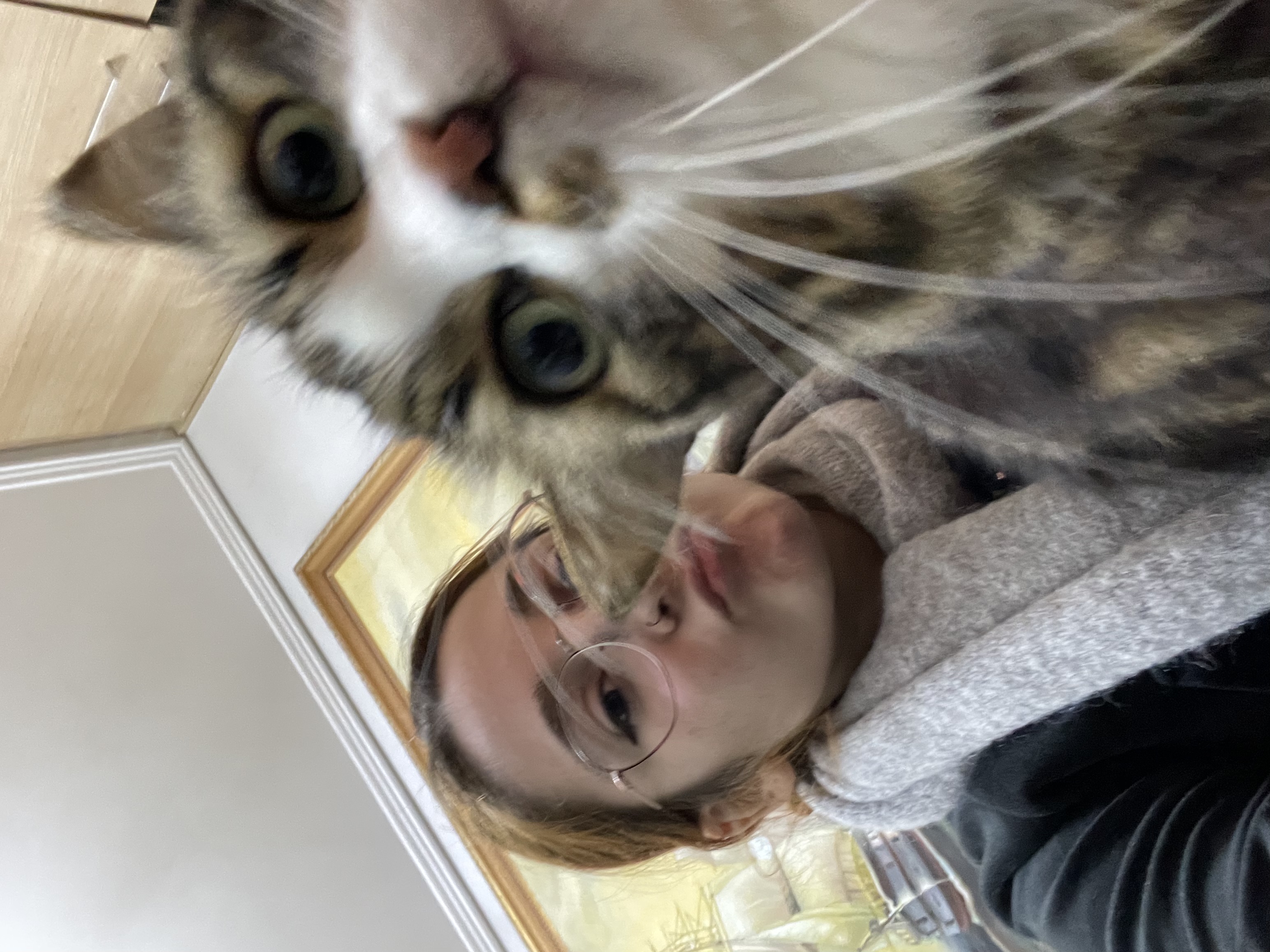 image-6