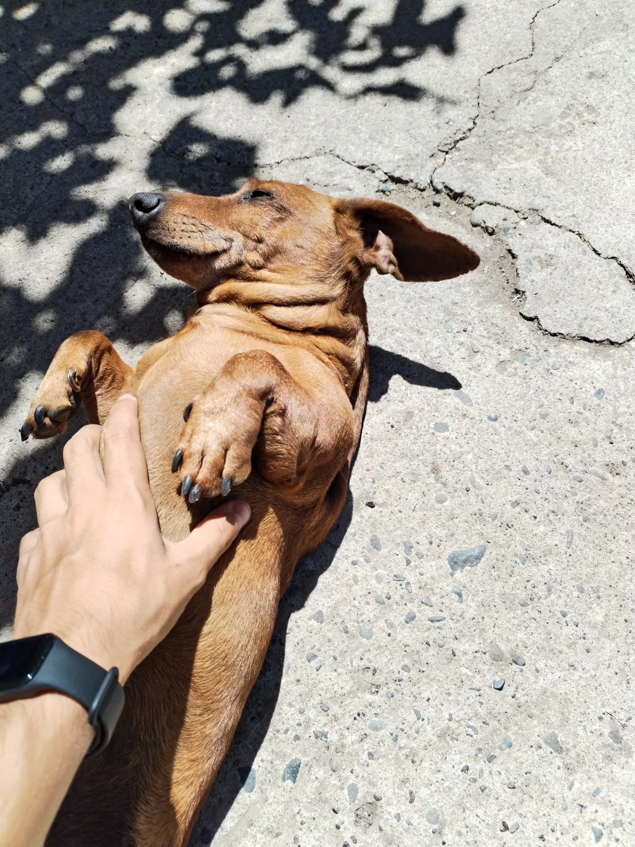 image-9