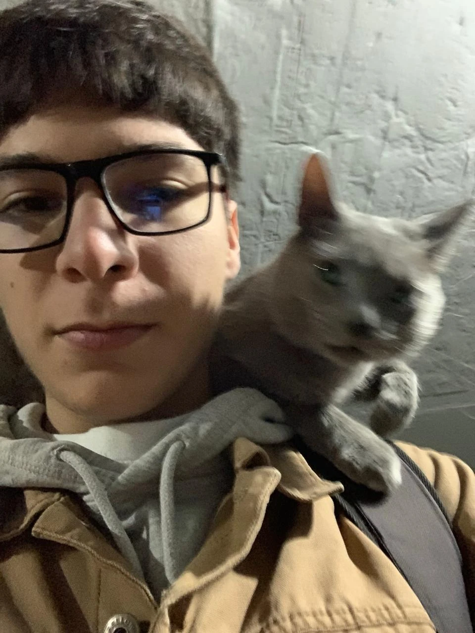 image-6