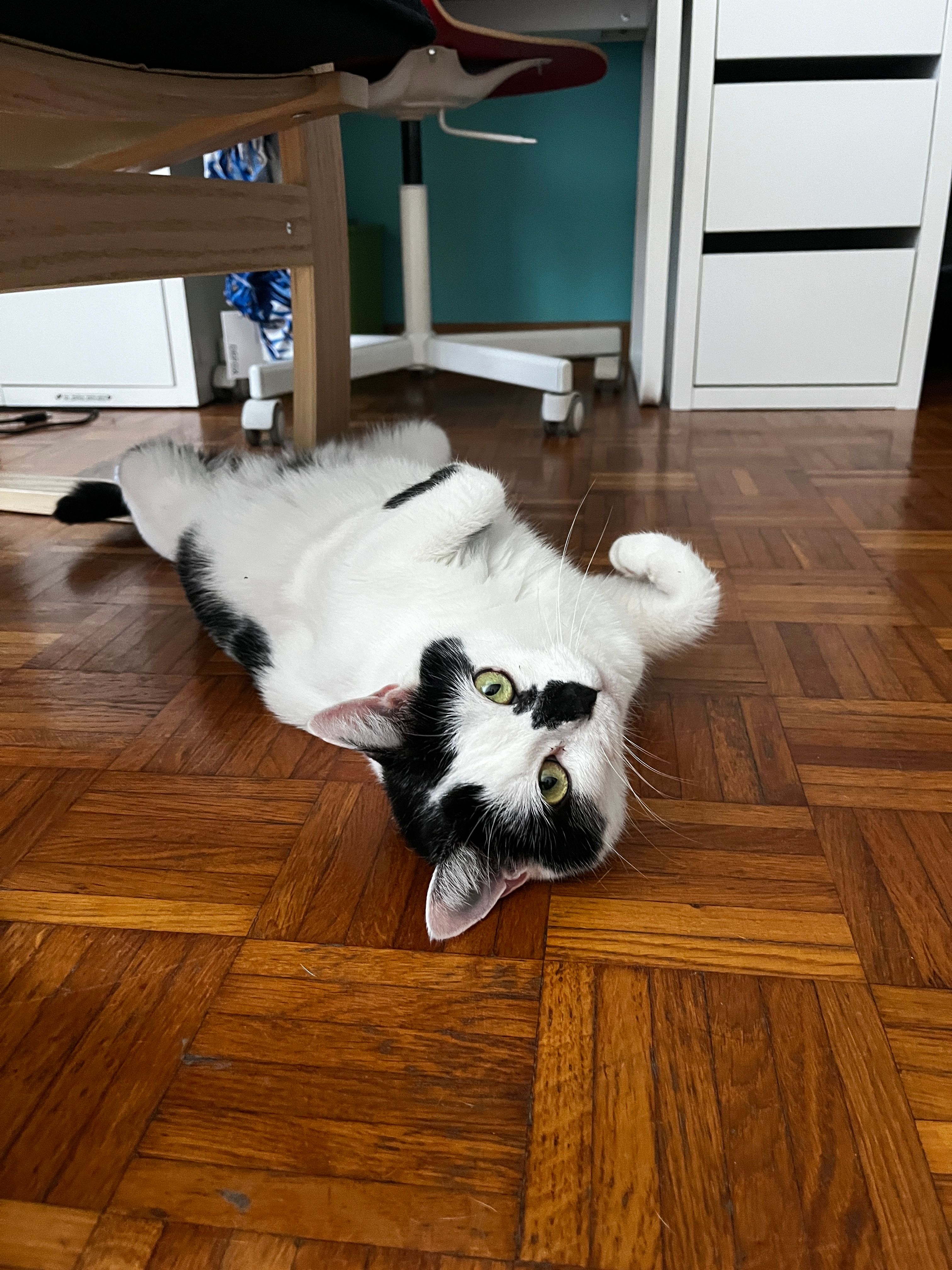 image-12