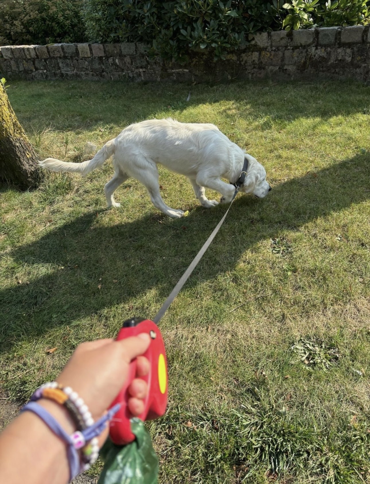 image-10