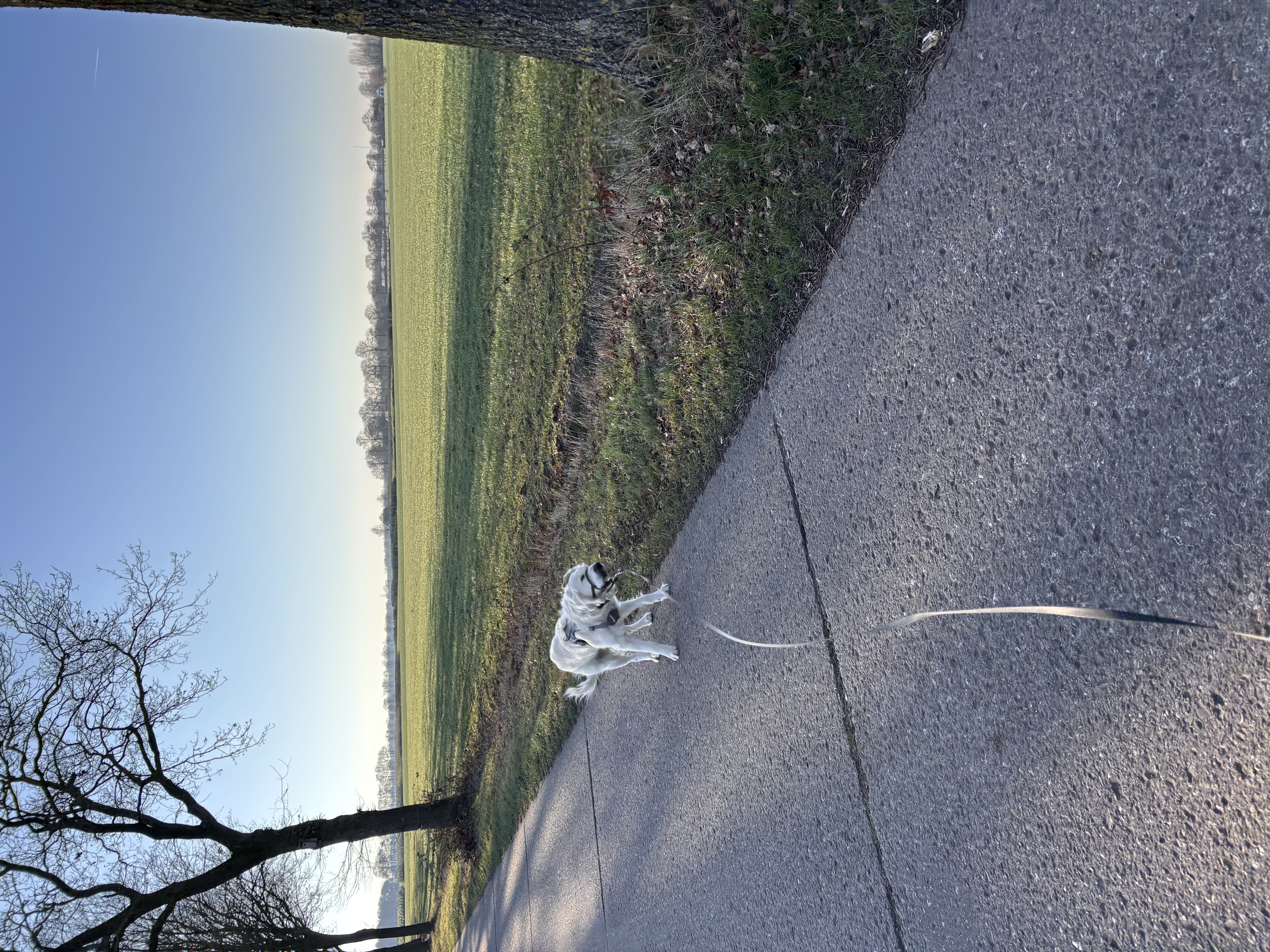 image-18