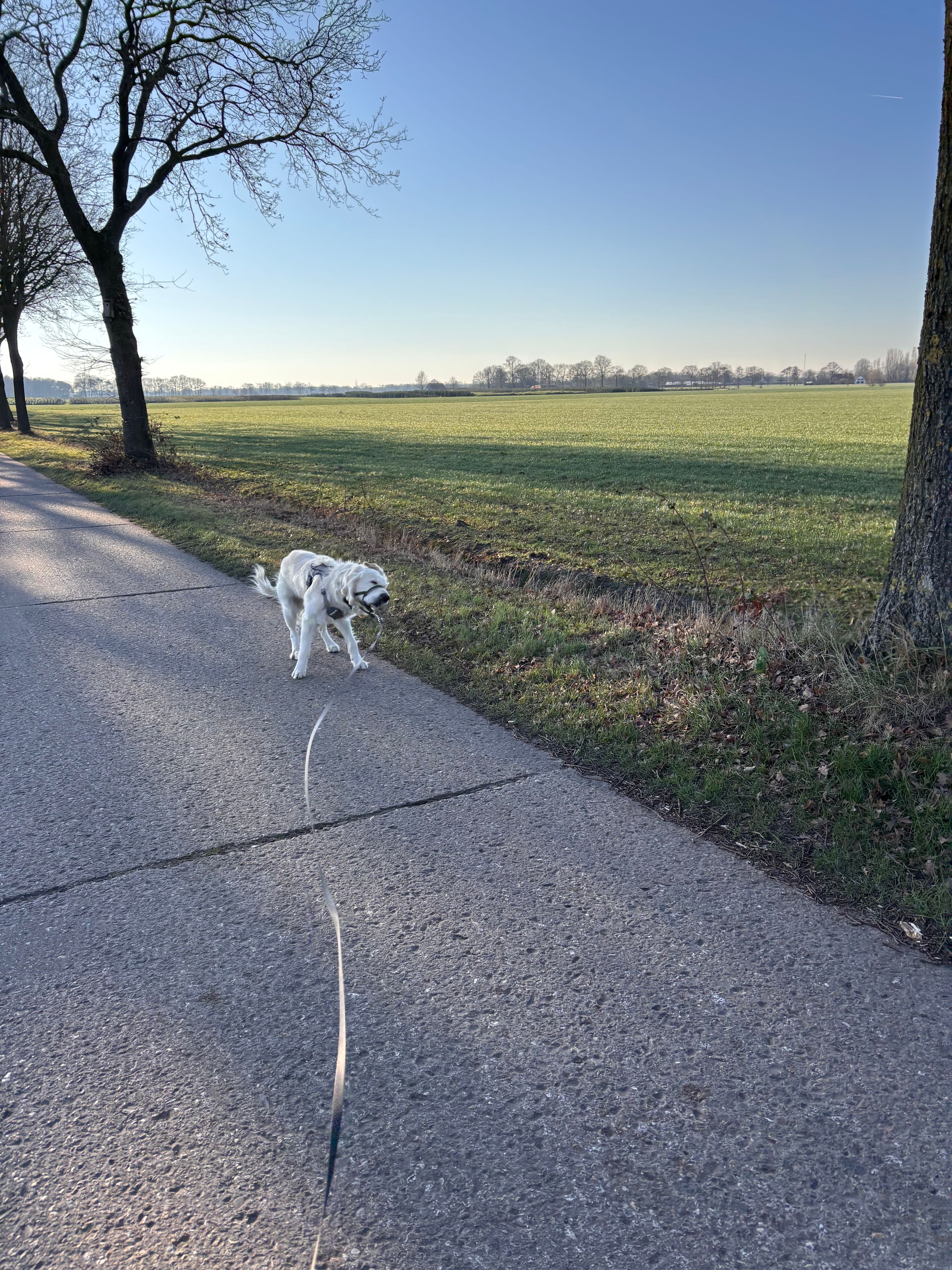 image-18