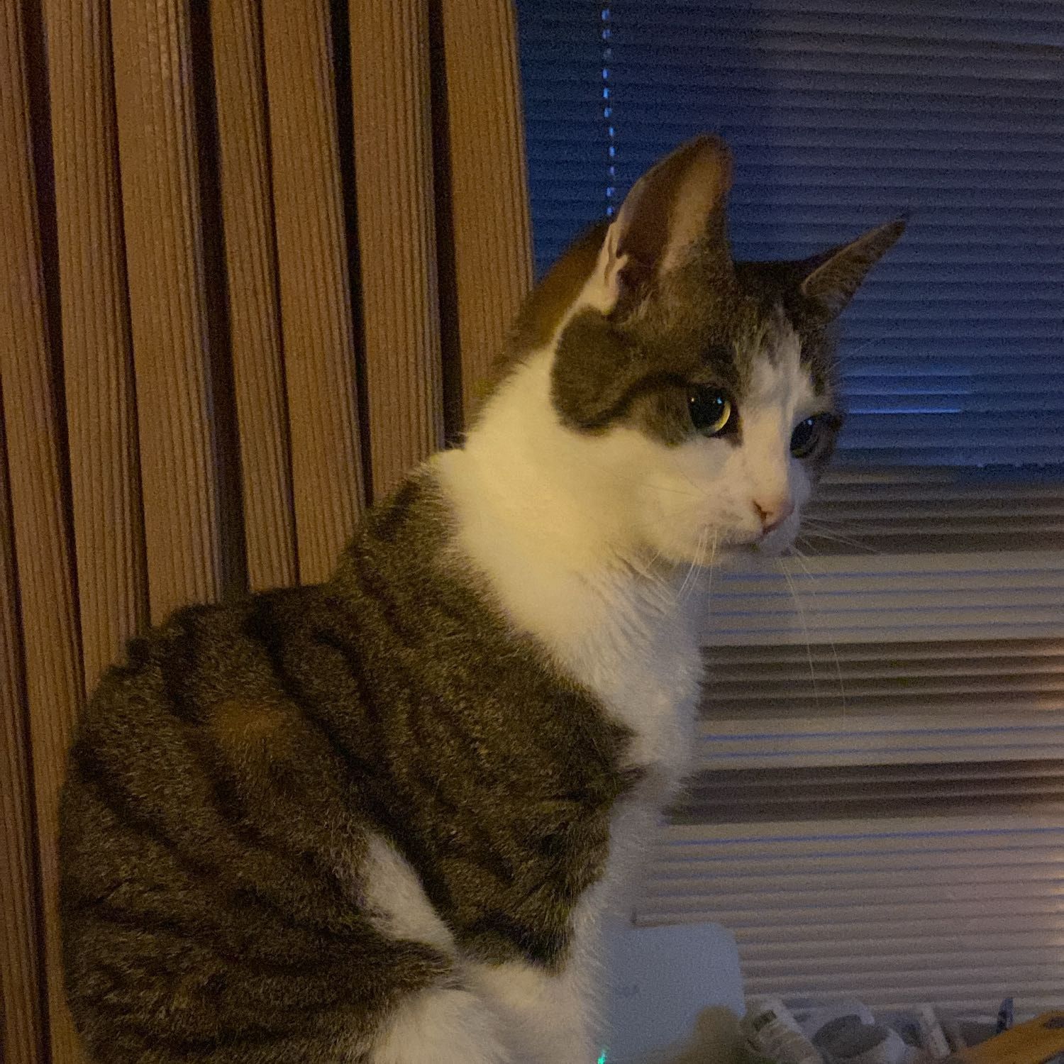 Pip