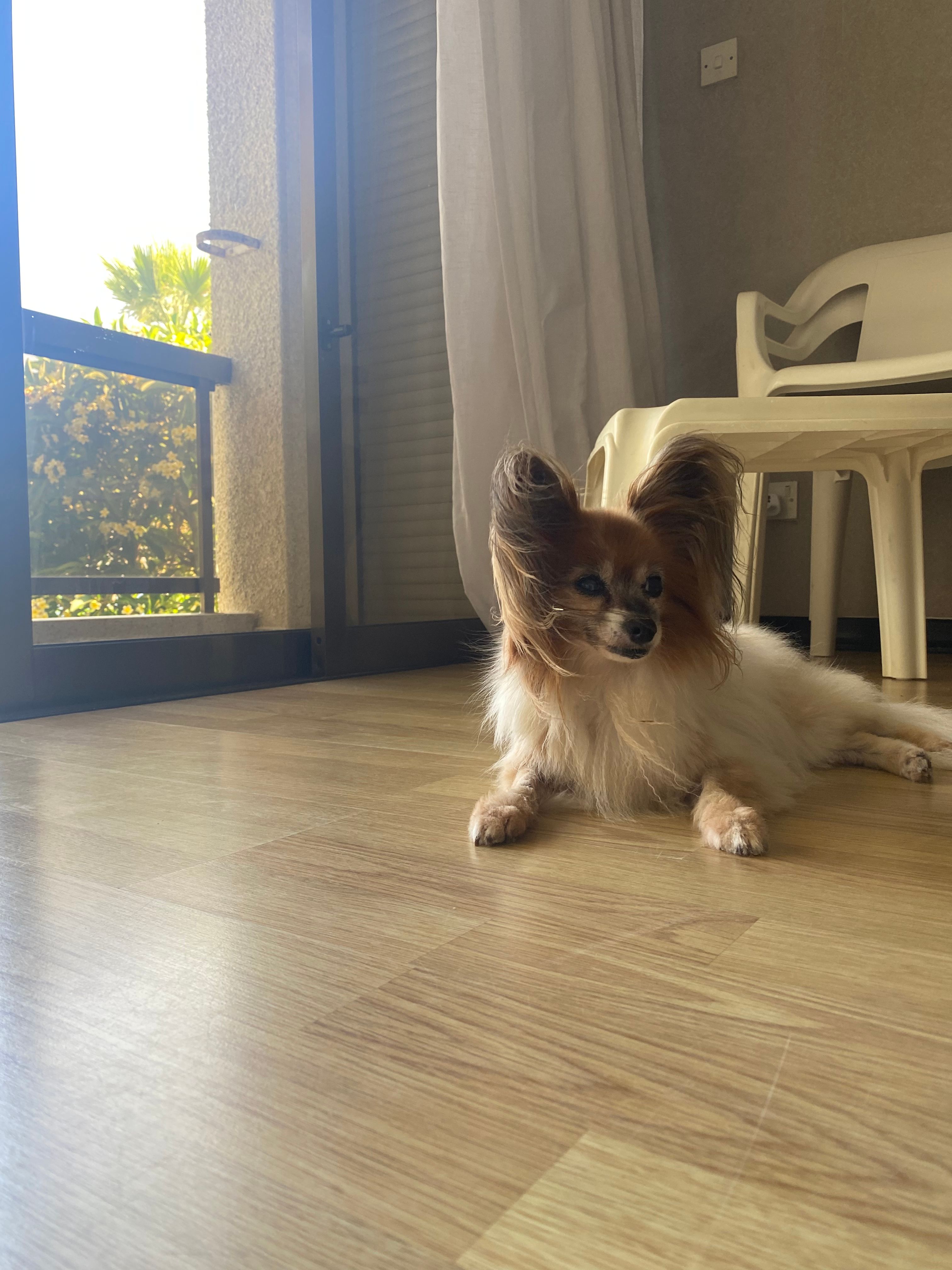 image-10