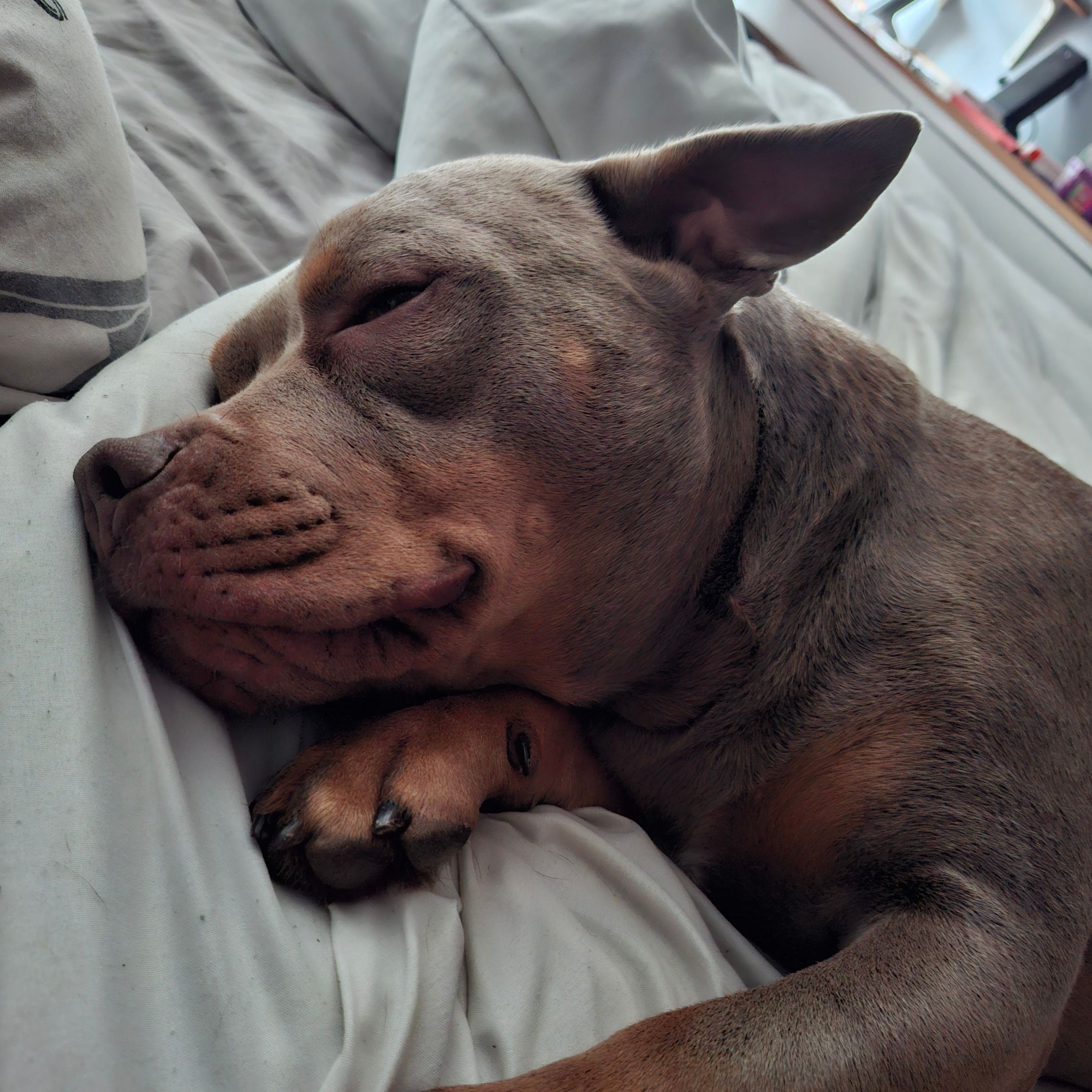 Yoda