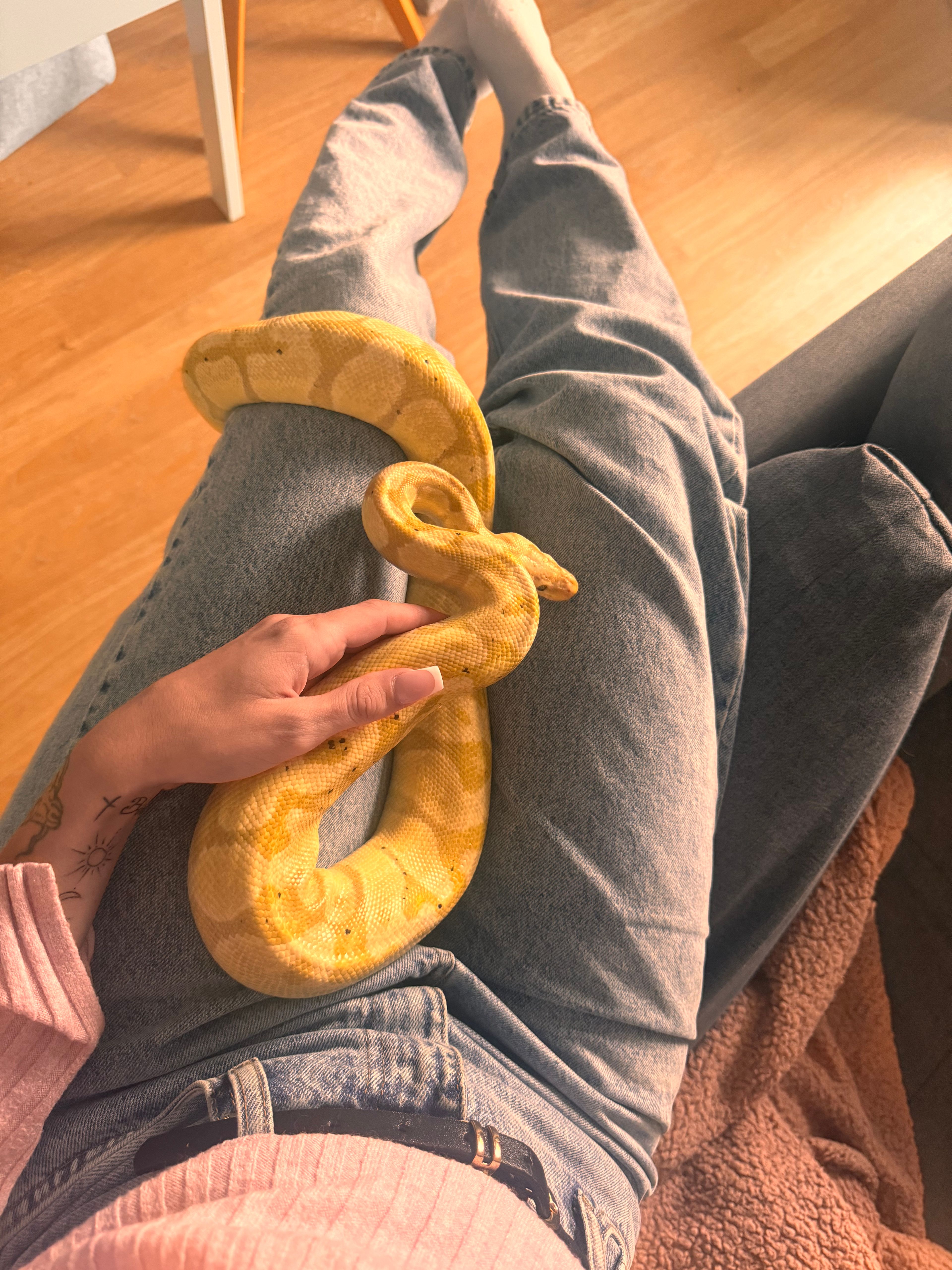 image-7