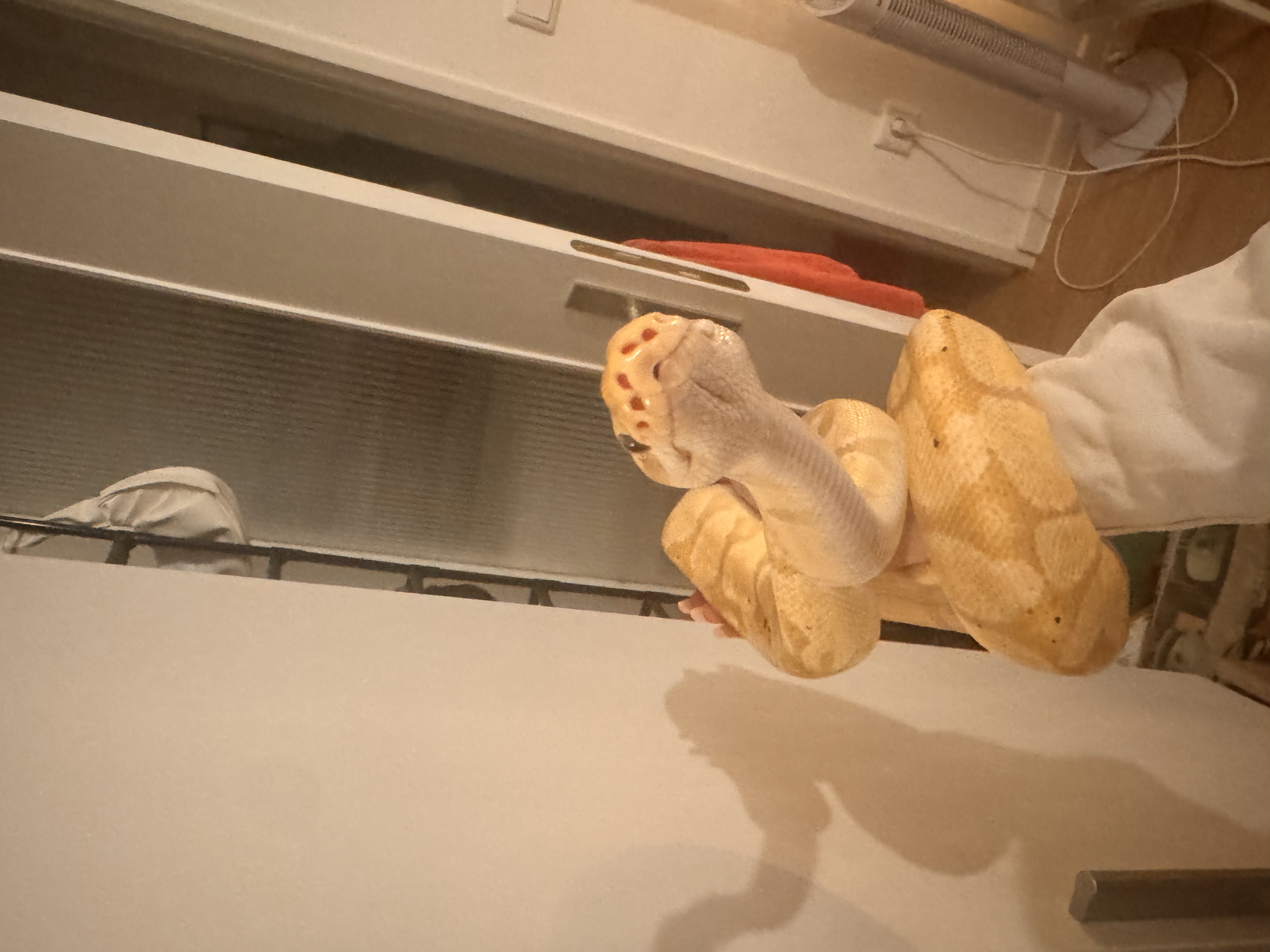 image-10