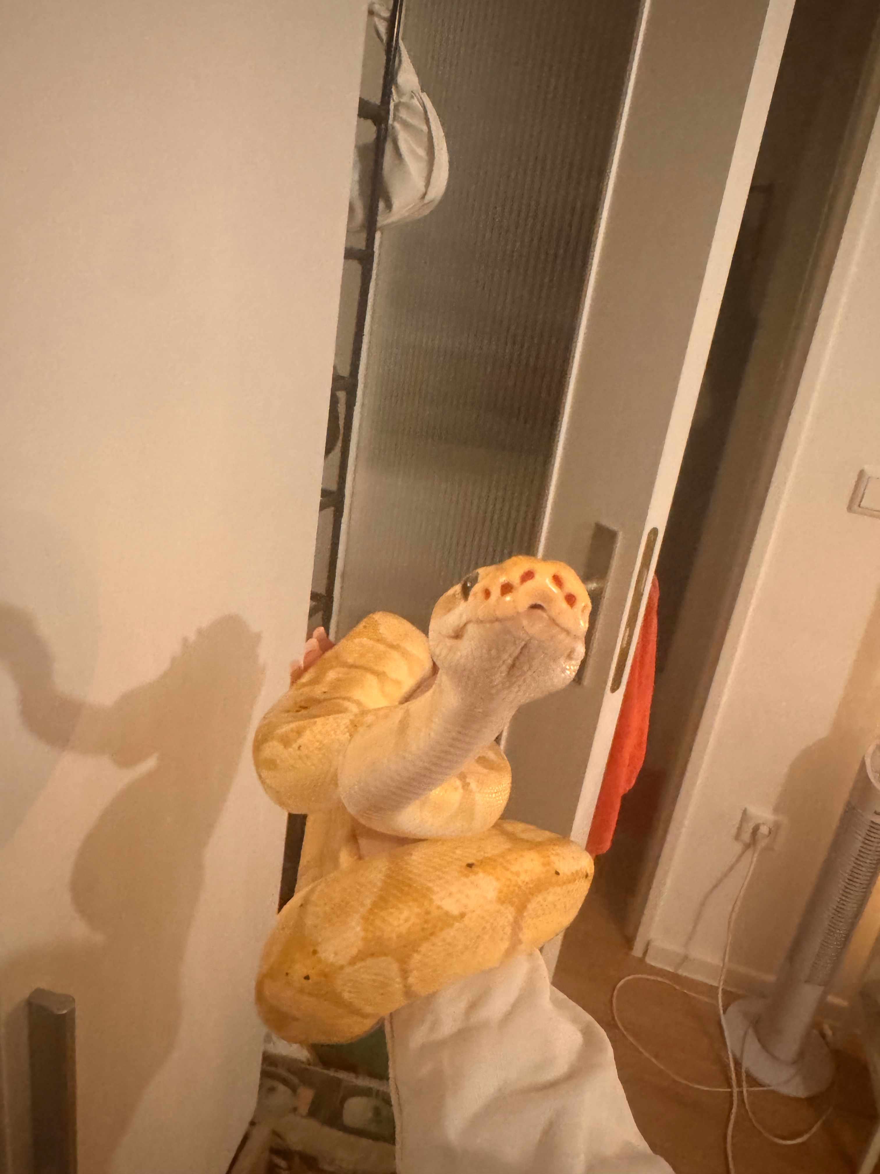 image-10