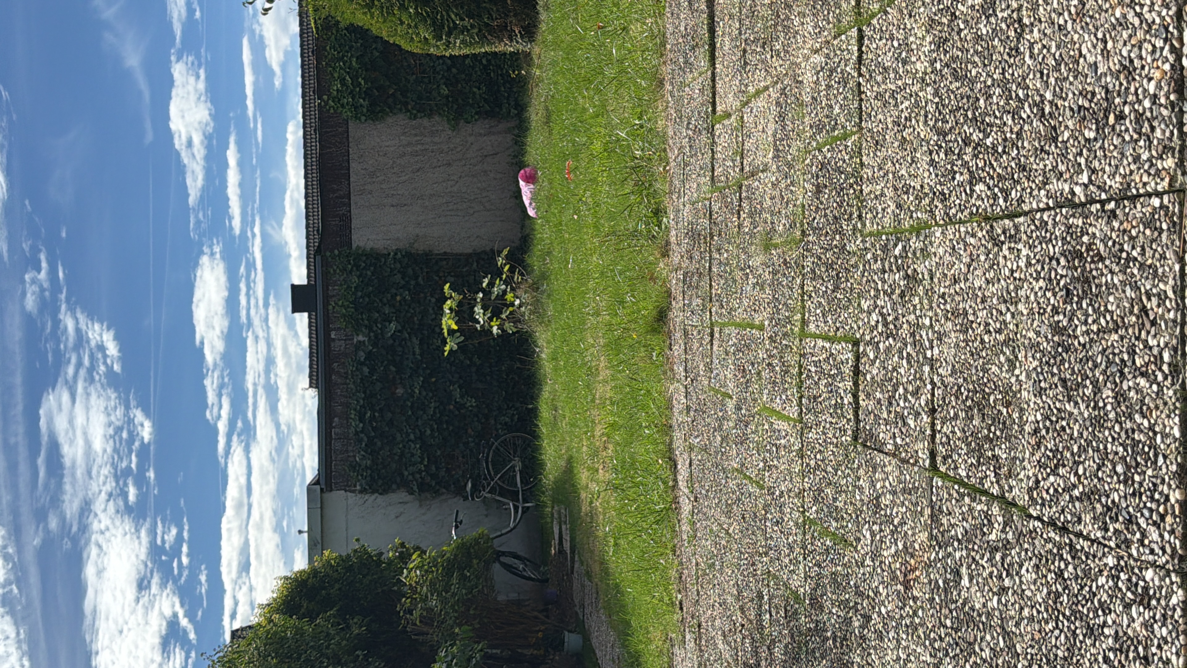 image-20