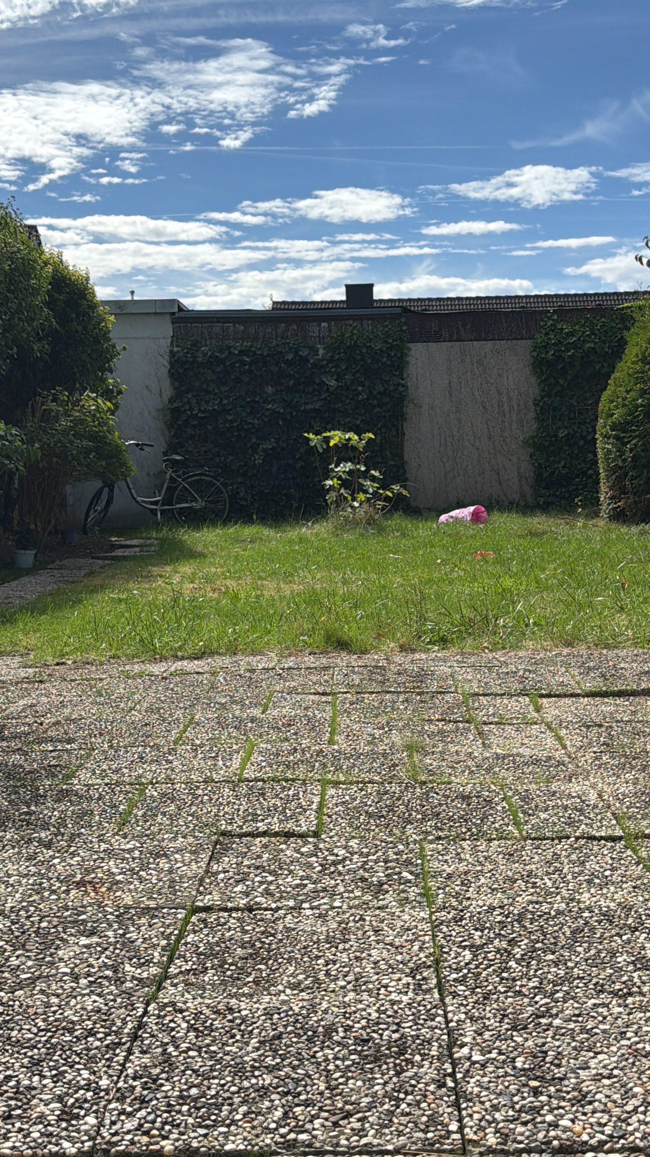 image-20